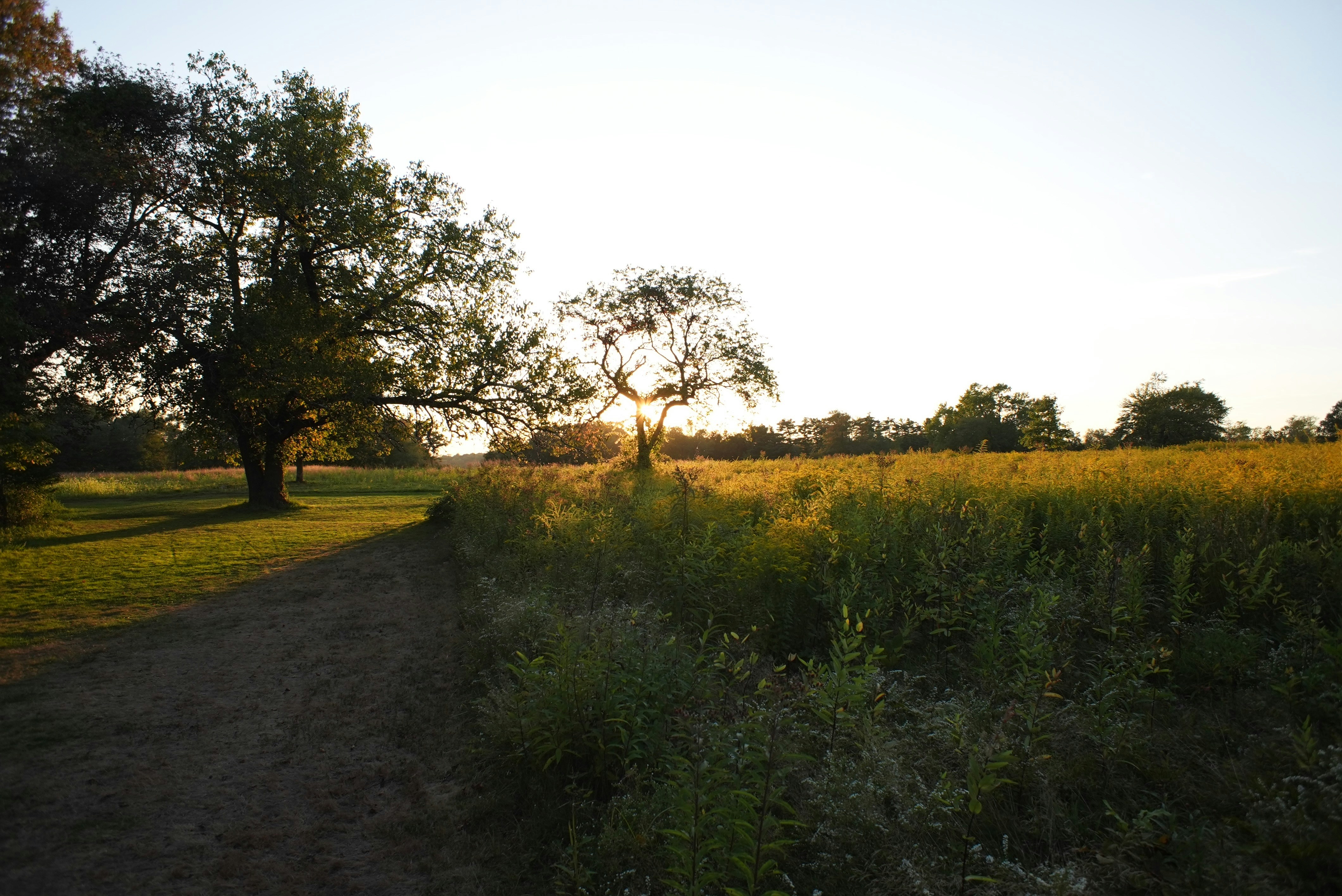 Photo by theolaflamme