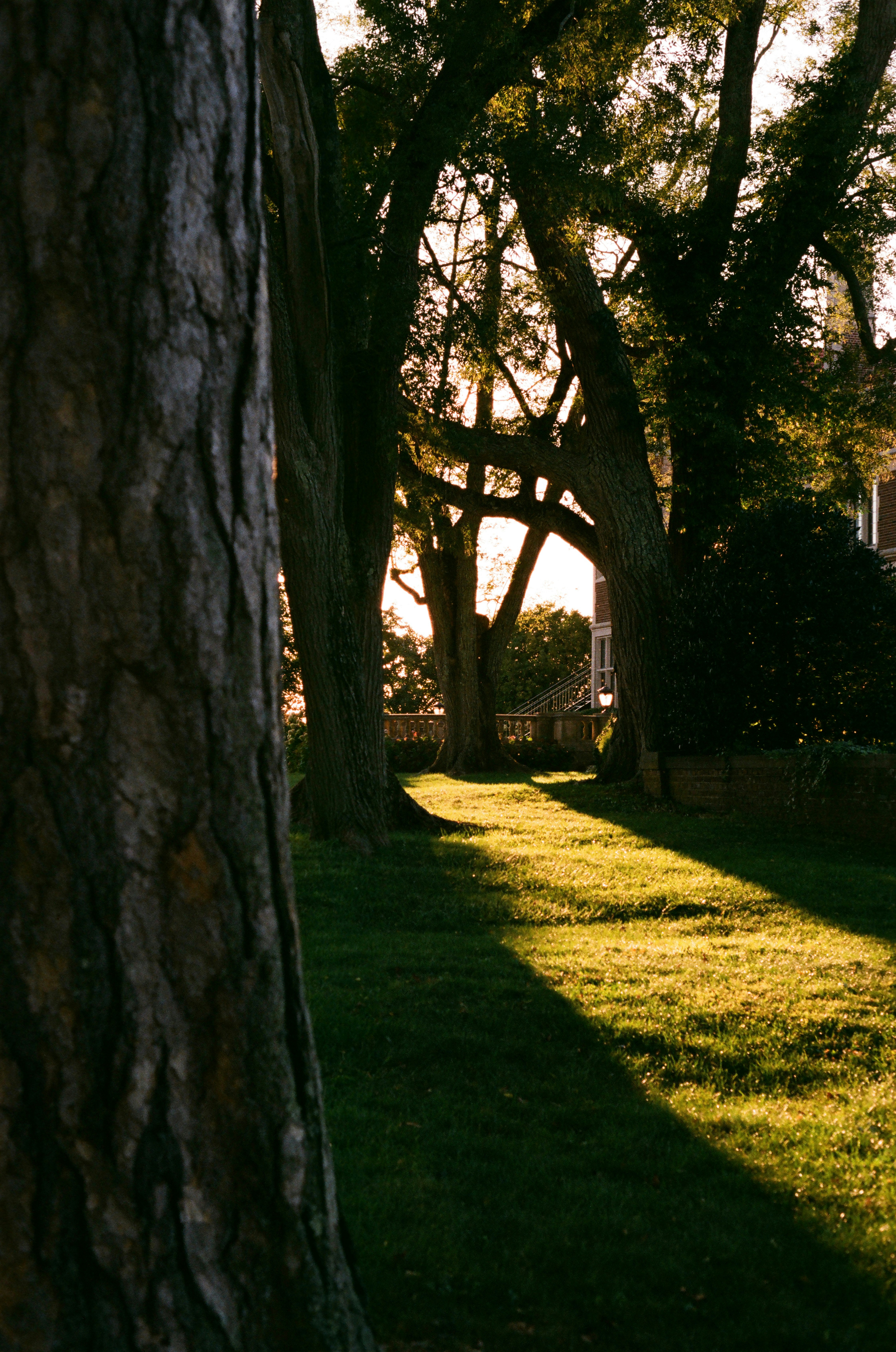 Photo by theolaflamme