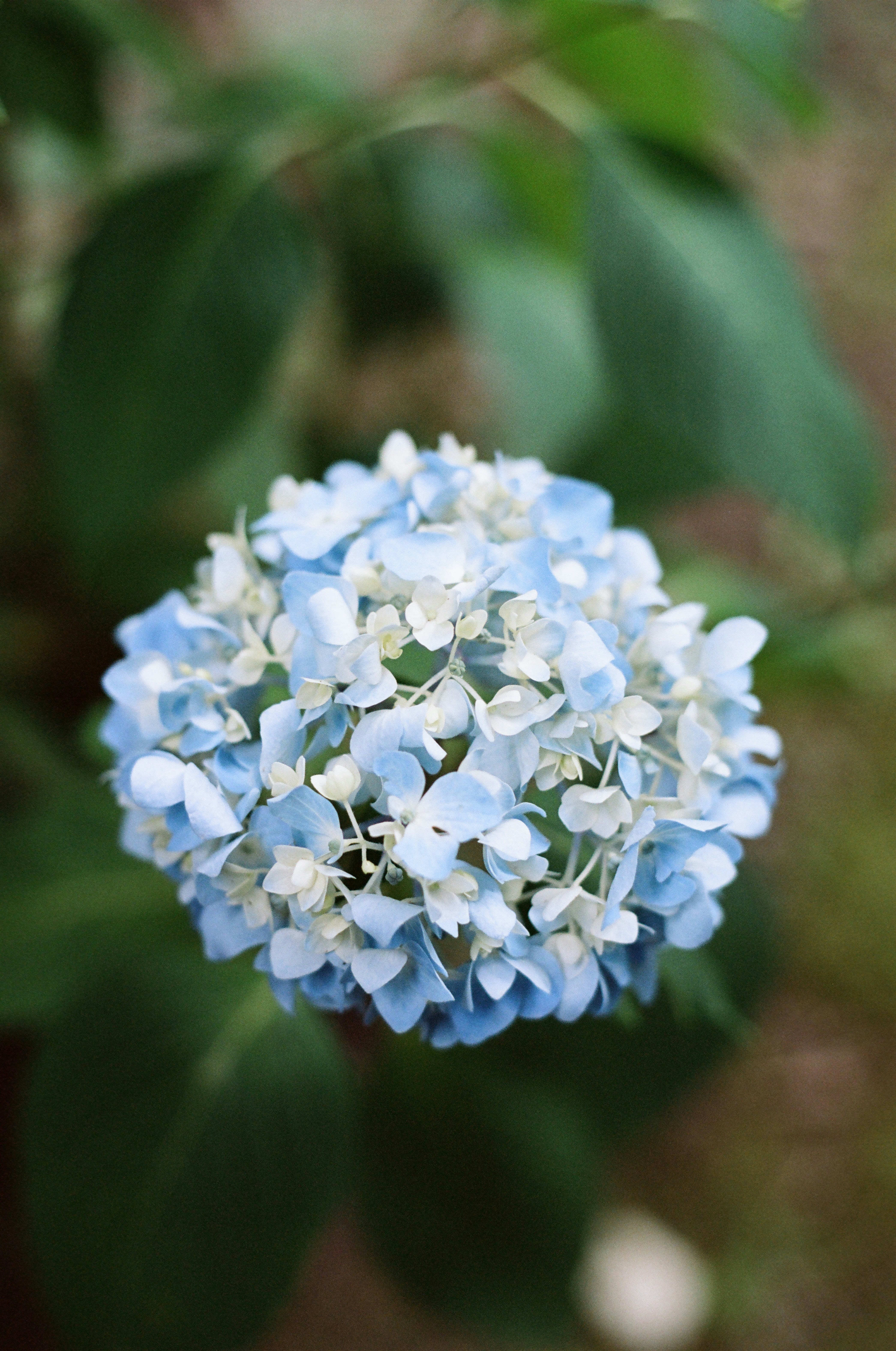 Photo by theolaflamme