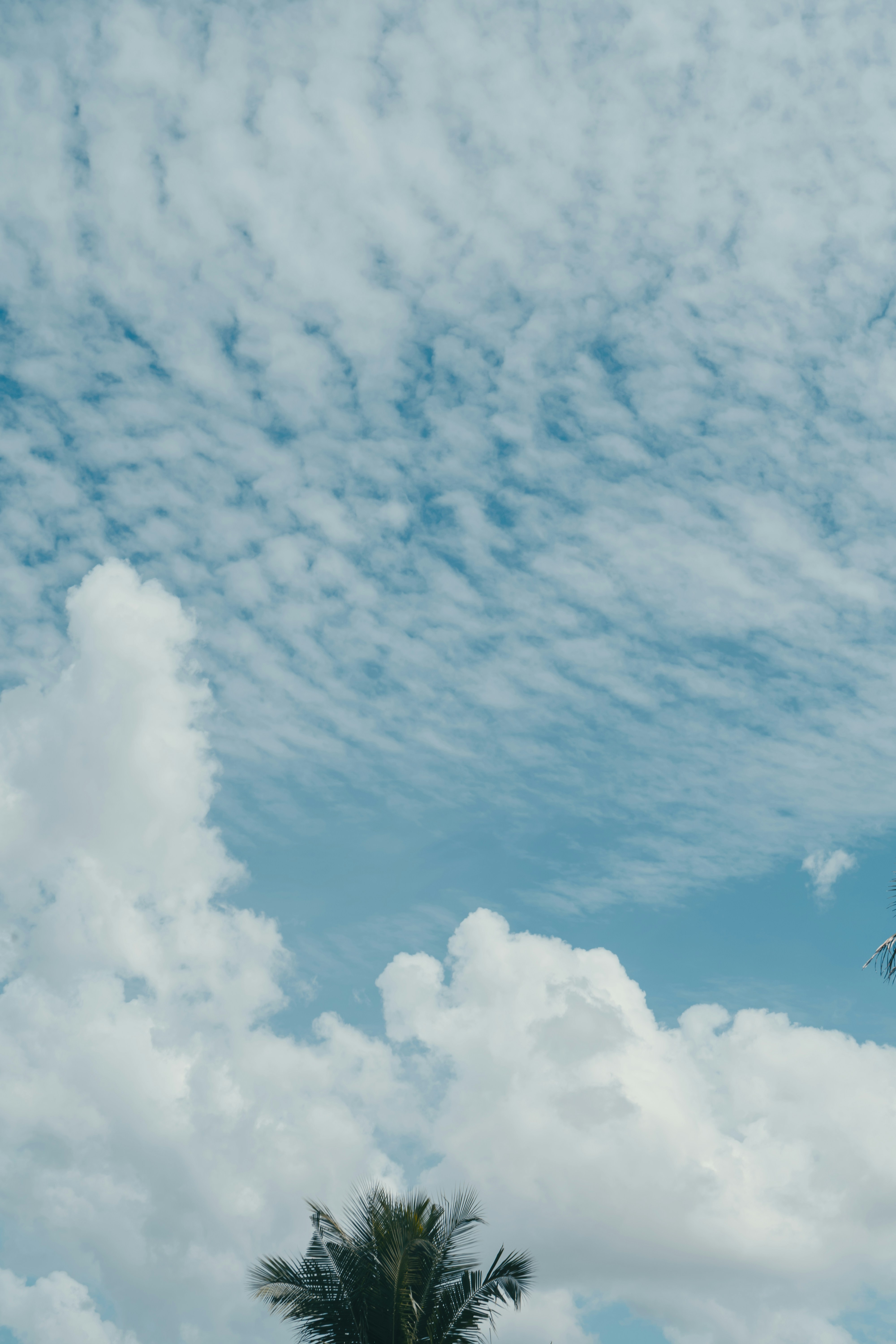 Photo by justinmin27