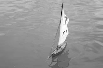 A small sailboat floats on calm water