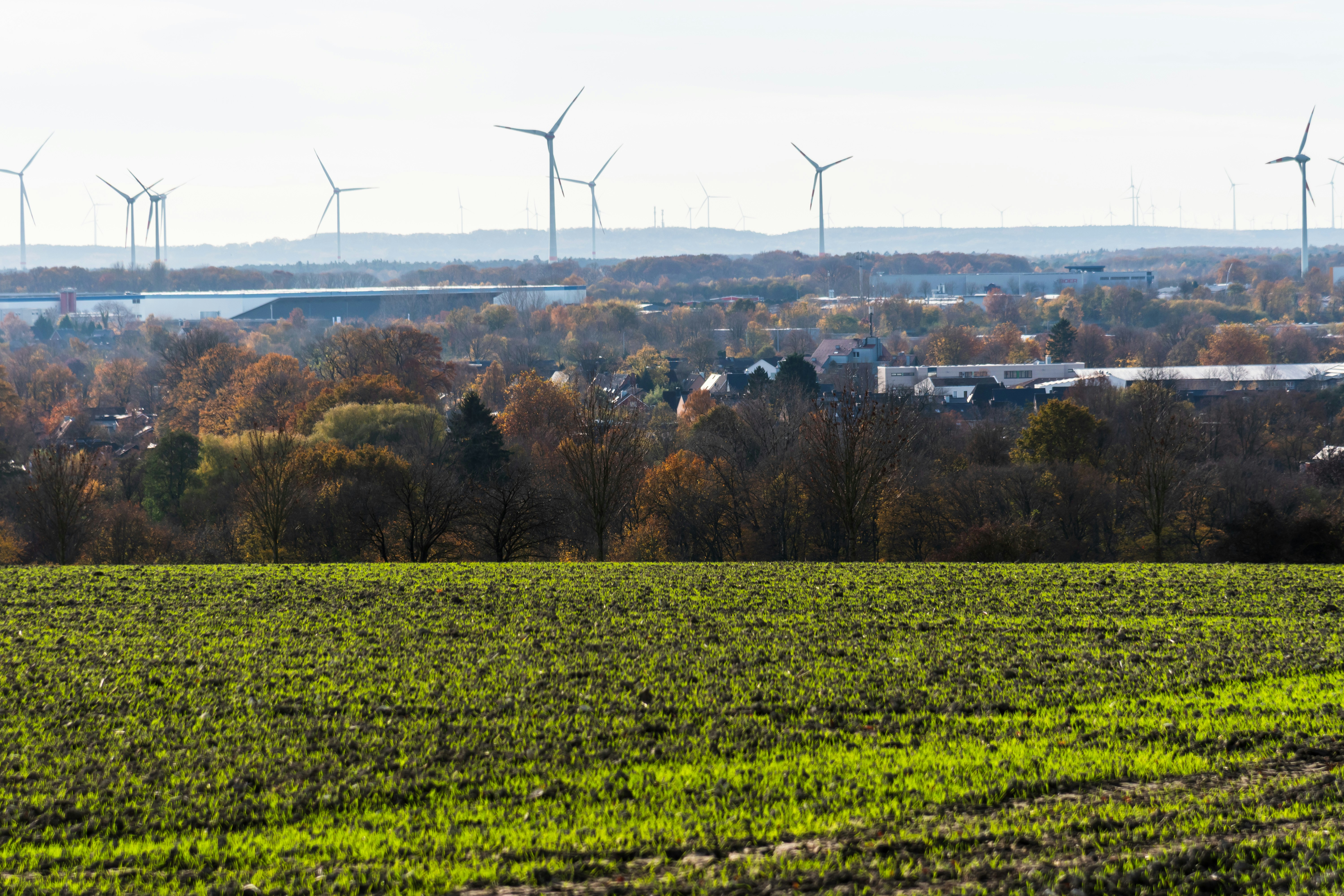 欧盟2040年减排目标通过，欧洲绿色能源革命加速-中电数媒-数字电网新门户