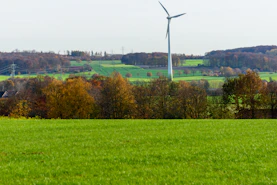Wind turbine in a green field with trees