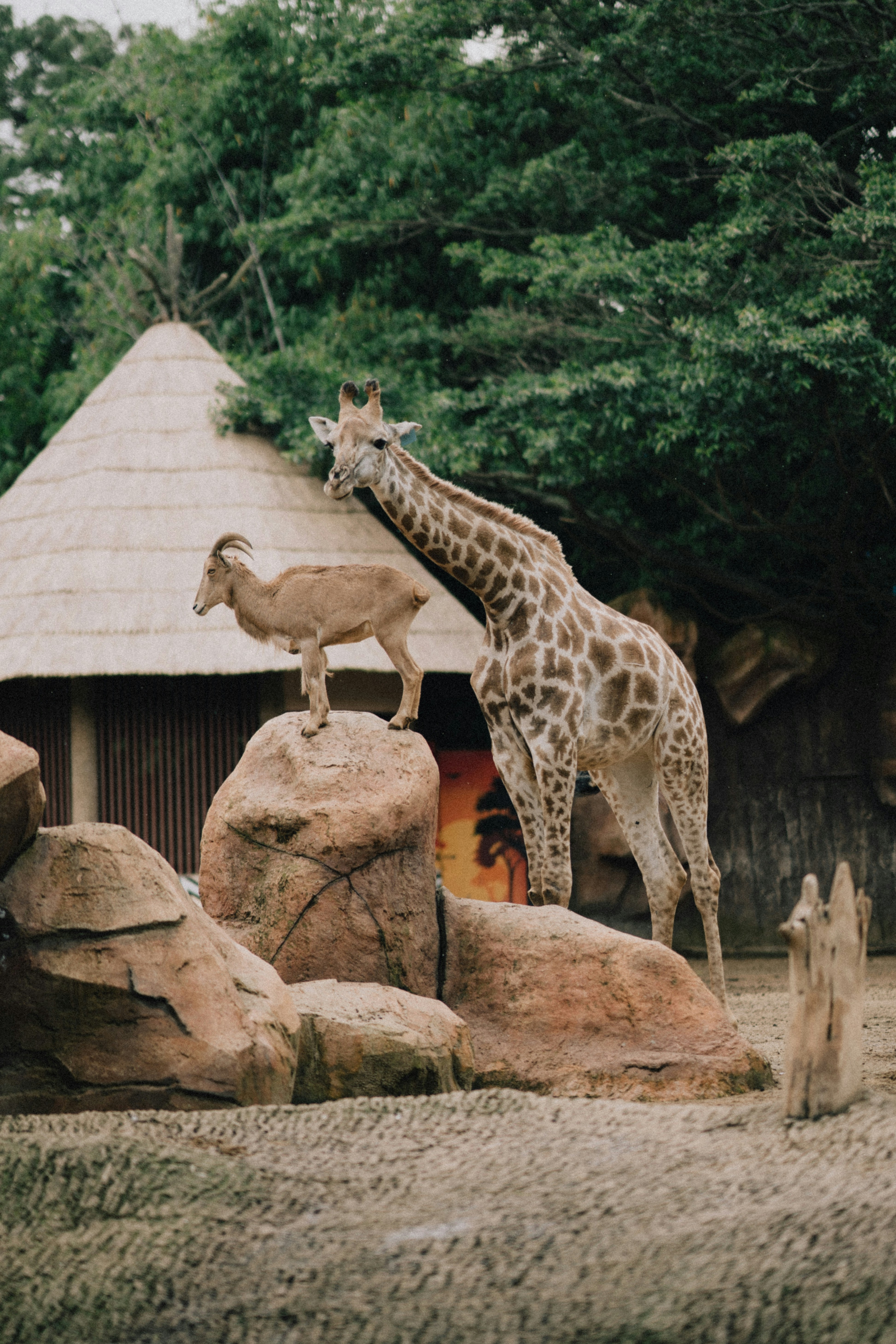 Photo by mariomezahn