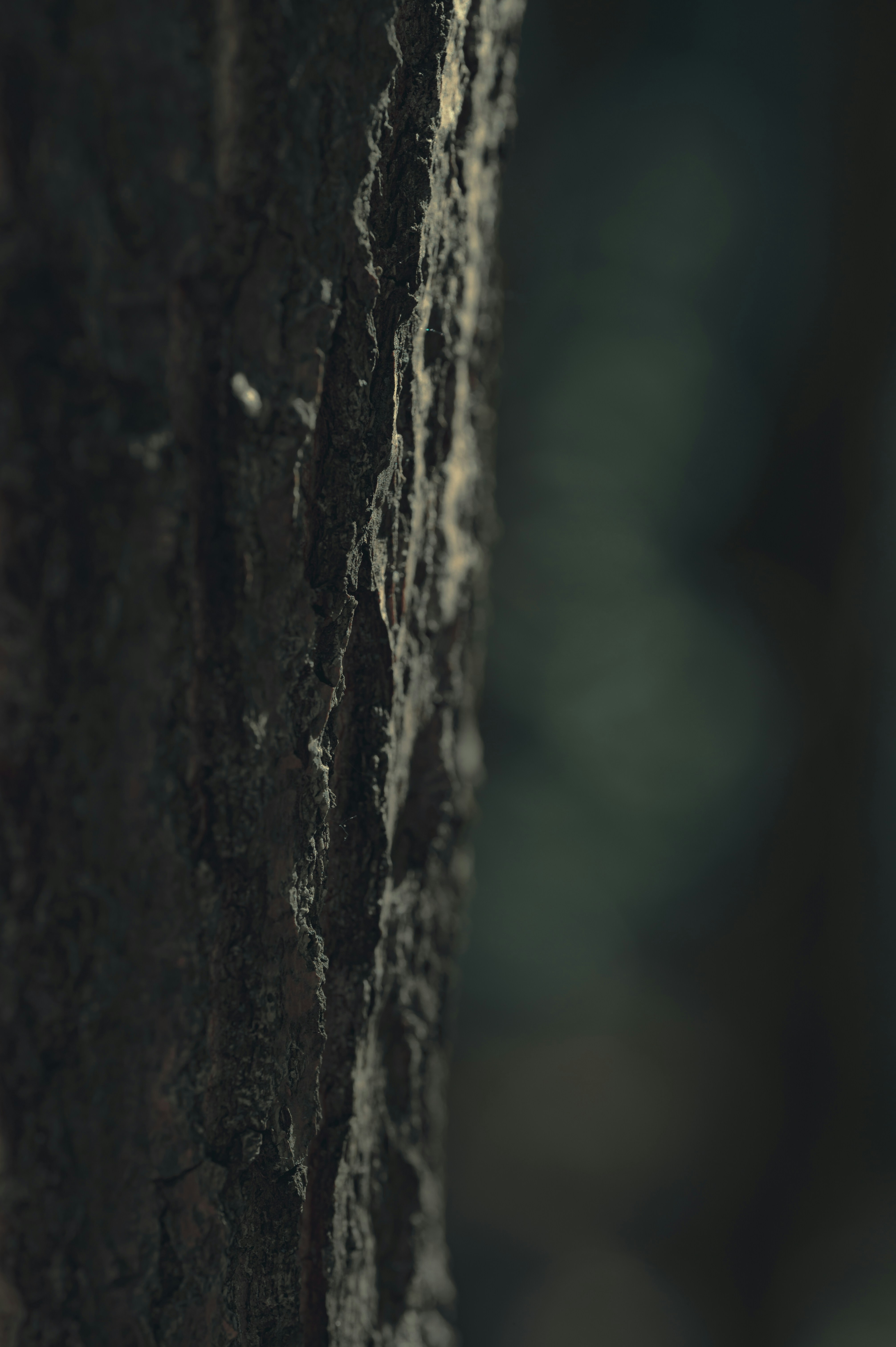 Photo by volodymyr_leush