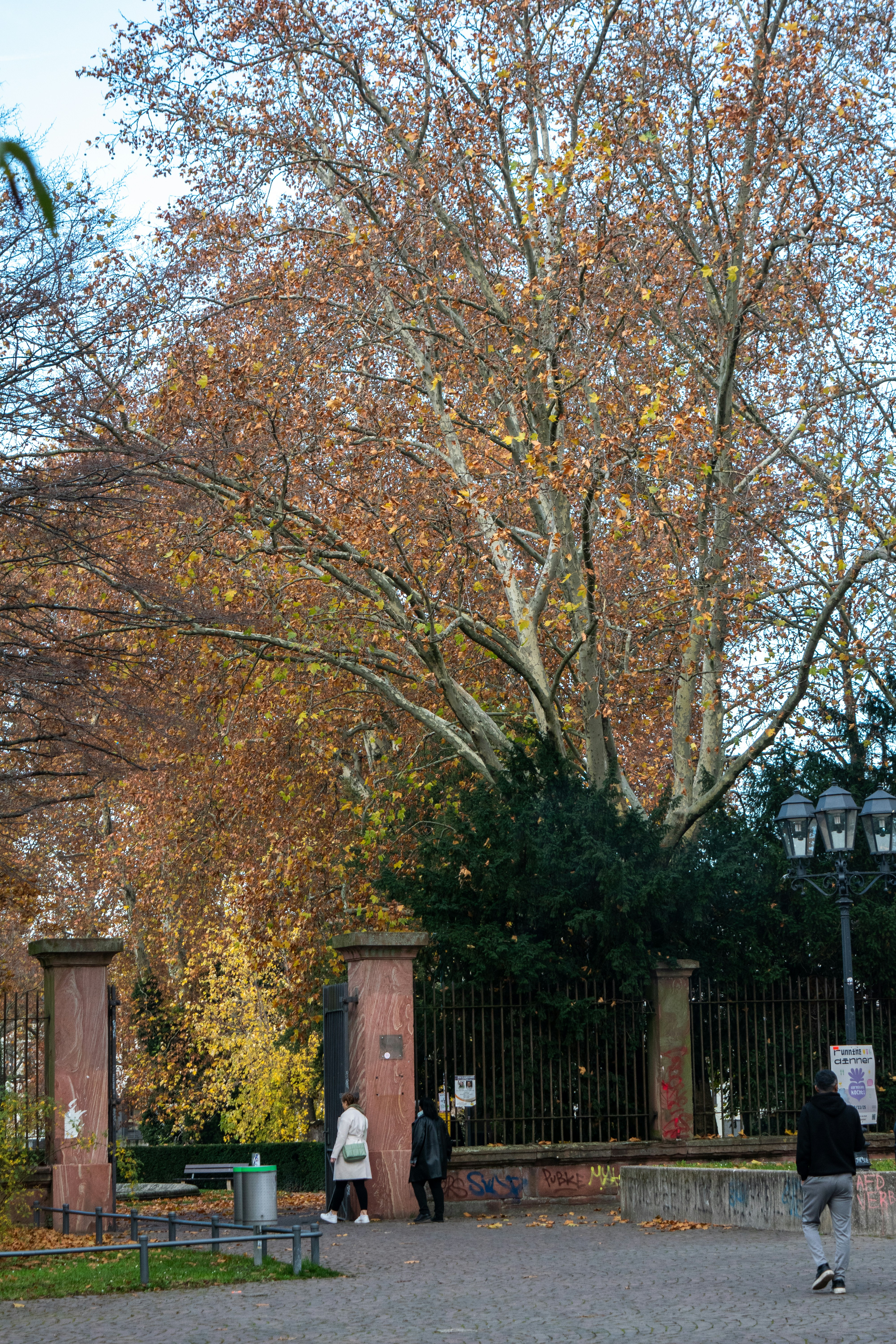 Photo by ahmed_sl___