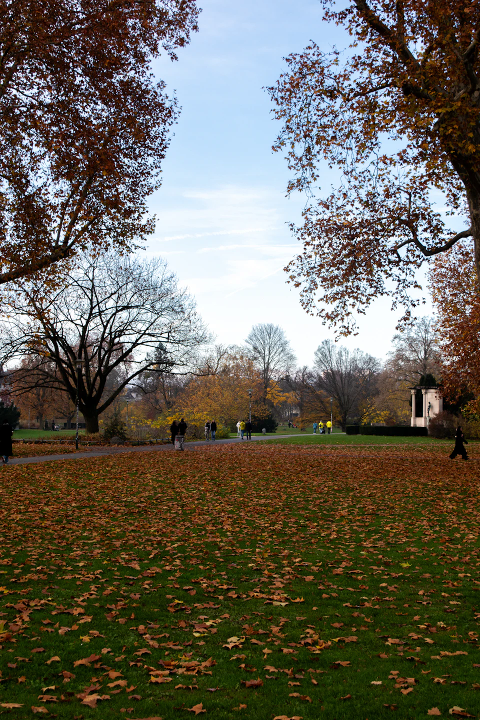 Serene autumn scene with vibrant orange and yellow leaves scattered across a grassy field