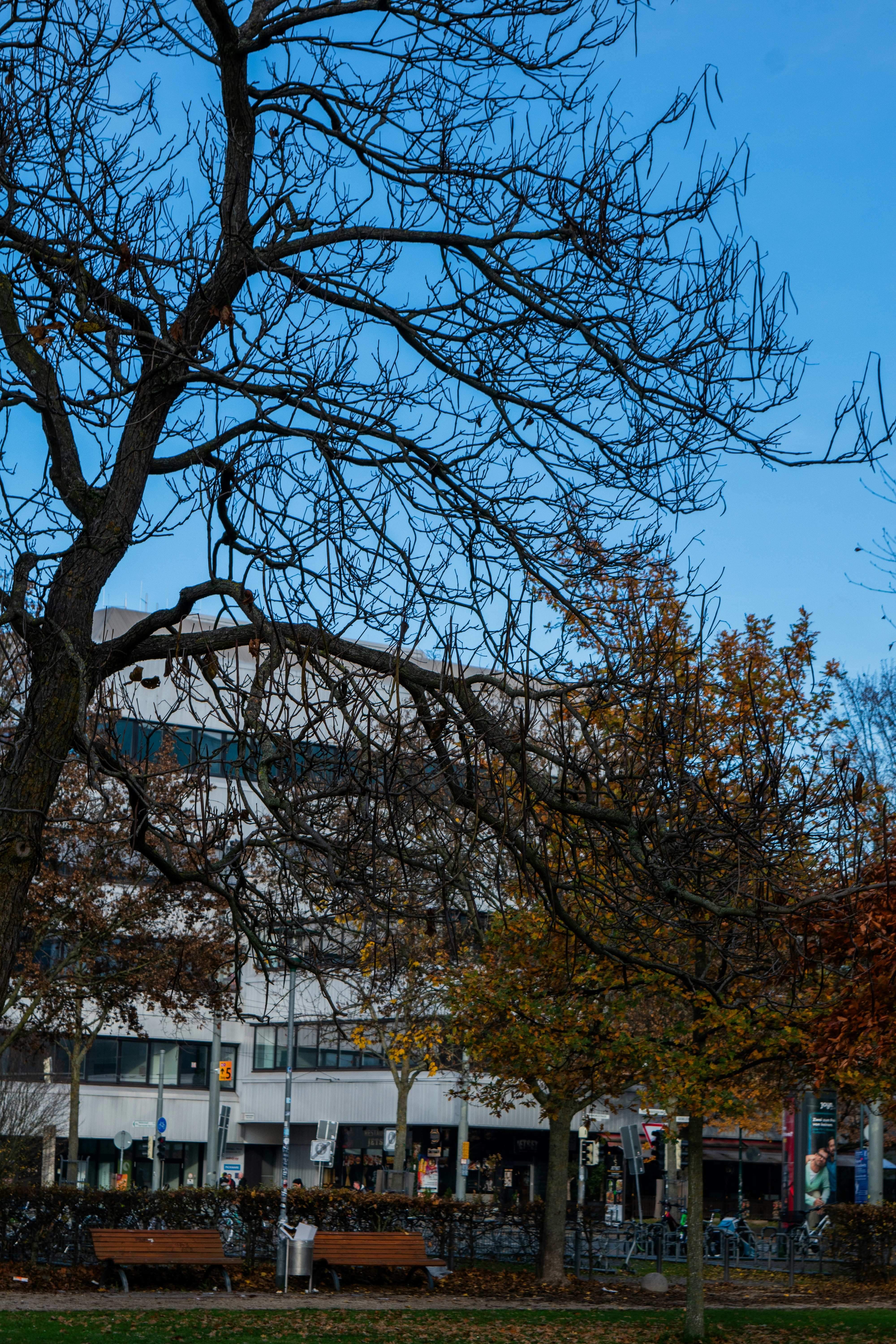 Photo by ahmed_sl___