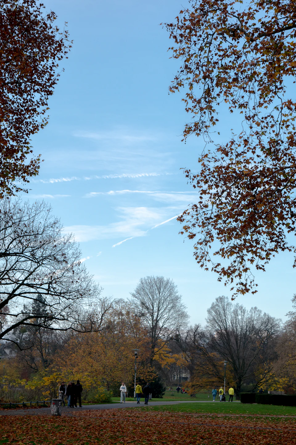 The image depicts a serene autumn day at a park, with people walking along a path surrounded by trees and fallen leaves on the ground. The sky above is clear blue with wispy clouds, creating a picturesque backdrop for the scene below. In total, there are 12 people visible in the image, some strolling leisurely while others appear to be engaged in conversation or enjoying each other's company.

The park itself is lush and green, with trees of various sizes dotting the landscape. The fallen leaves on the ground add a touch of autumnal charm to the scene. The perspective of the photo is from above, providing an overview of the park and its visitors as they enjoy their day outdoors.