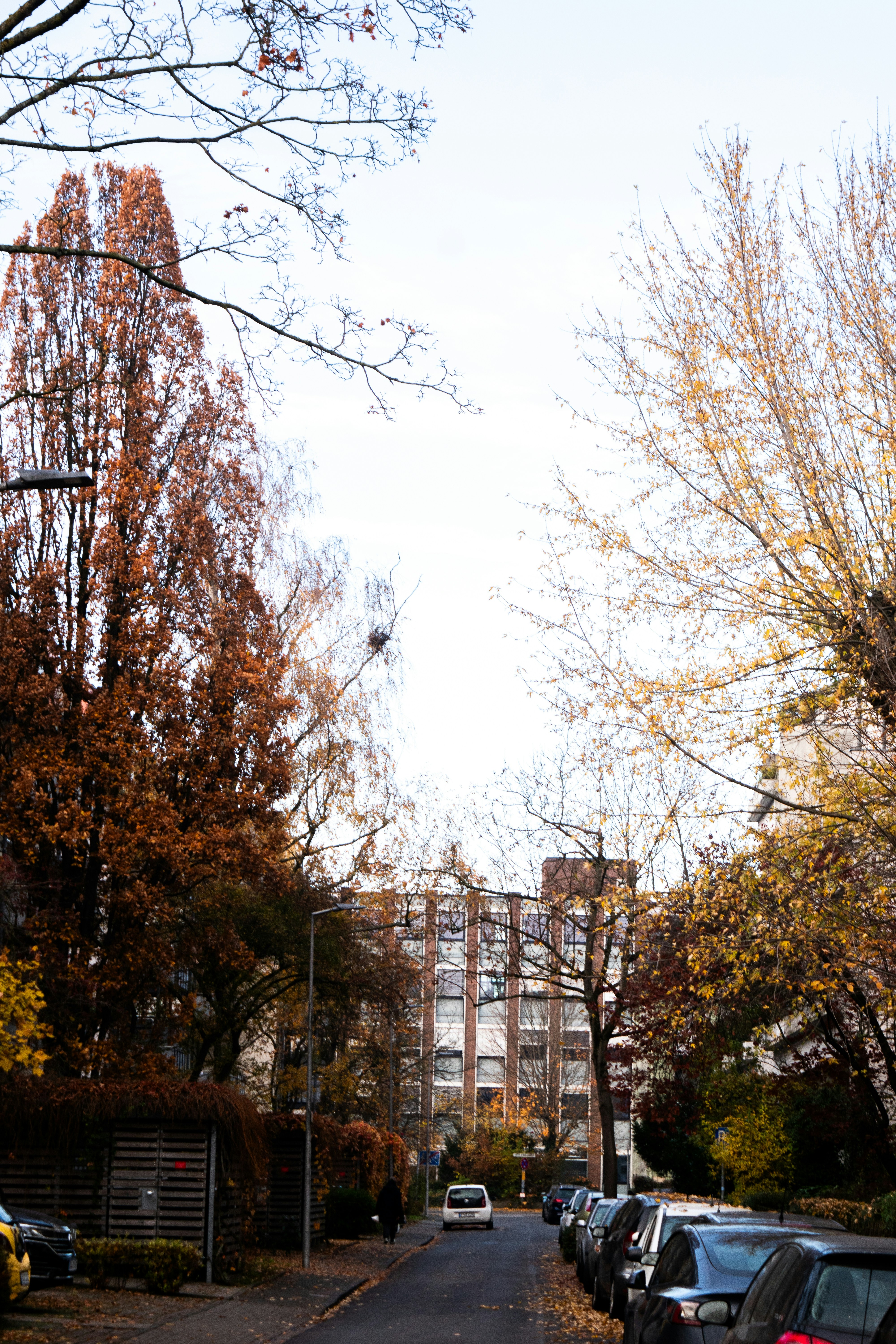 Photo by ahmed_sl___