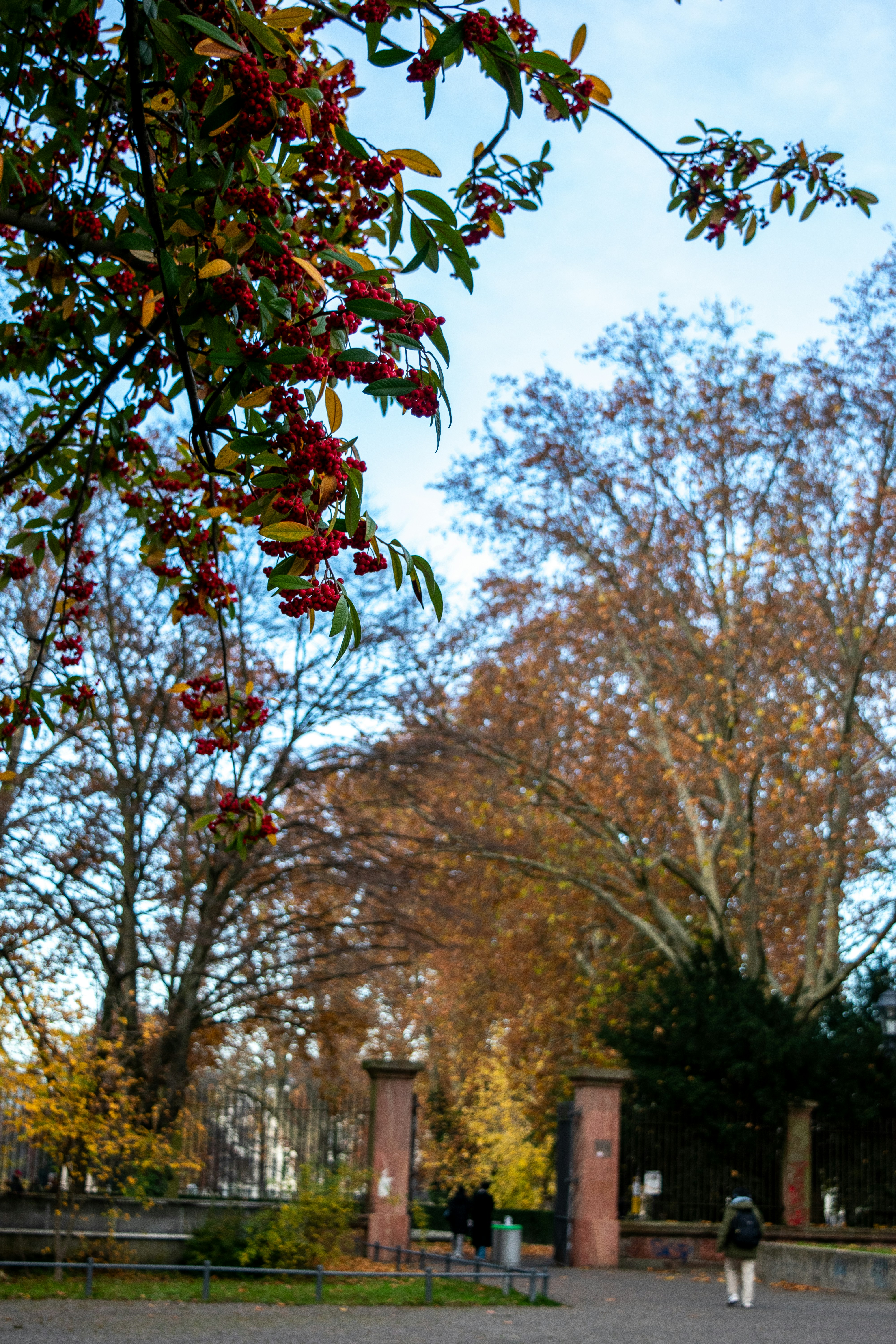 Photo by ahmed_sl___