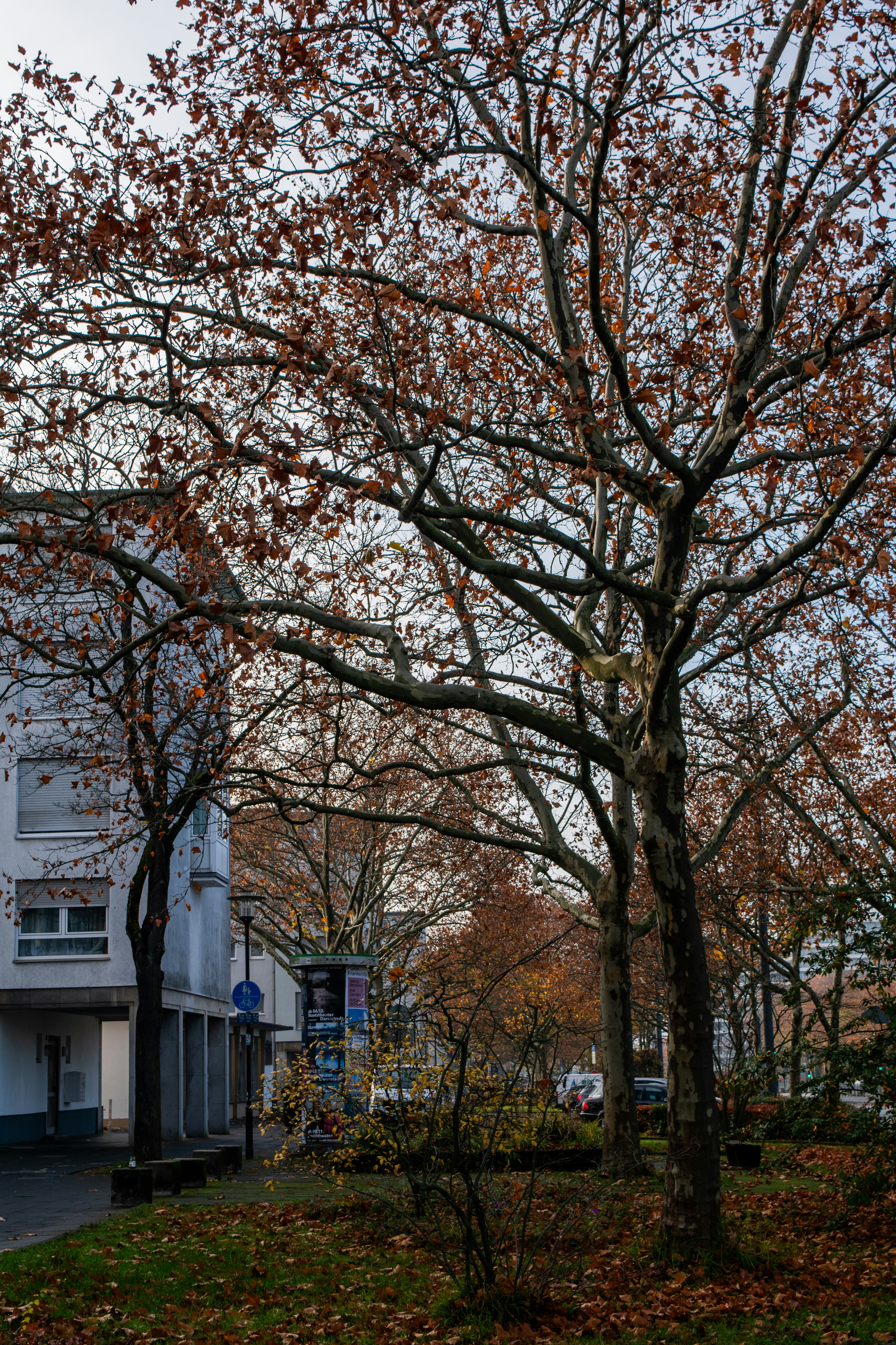 Photo by ahmed_sl___