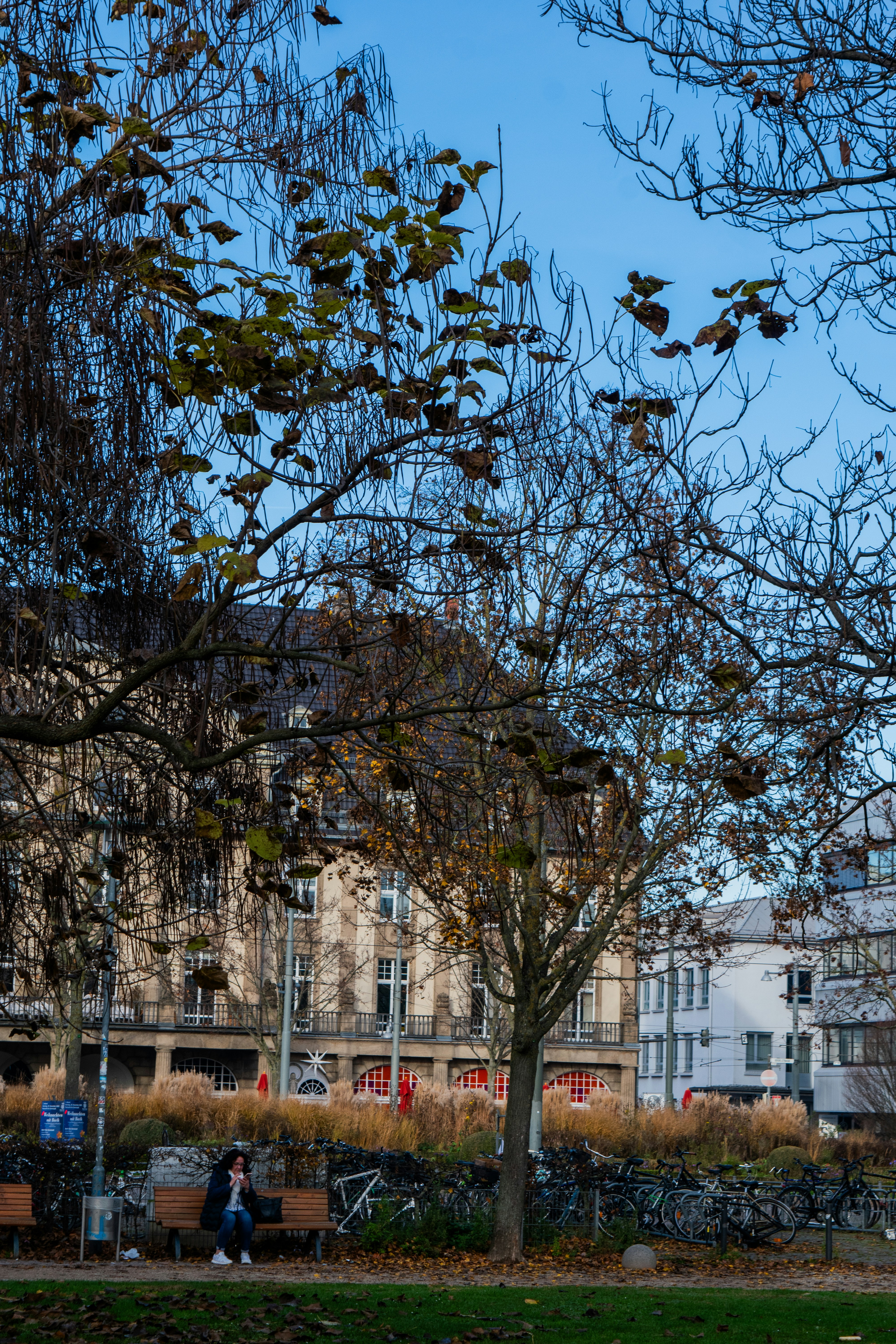 Photo by ahmed_sl___