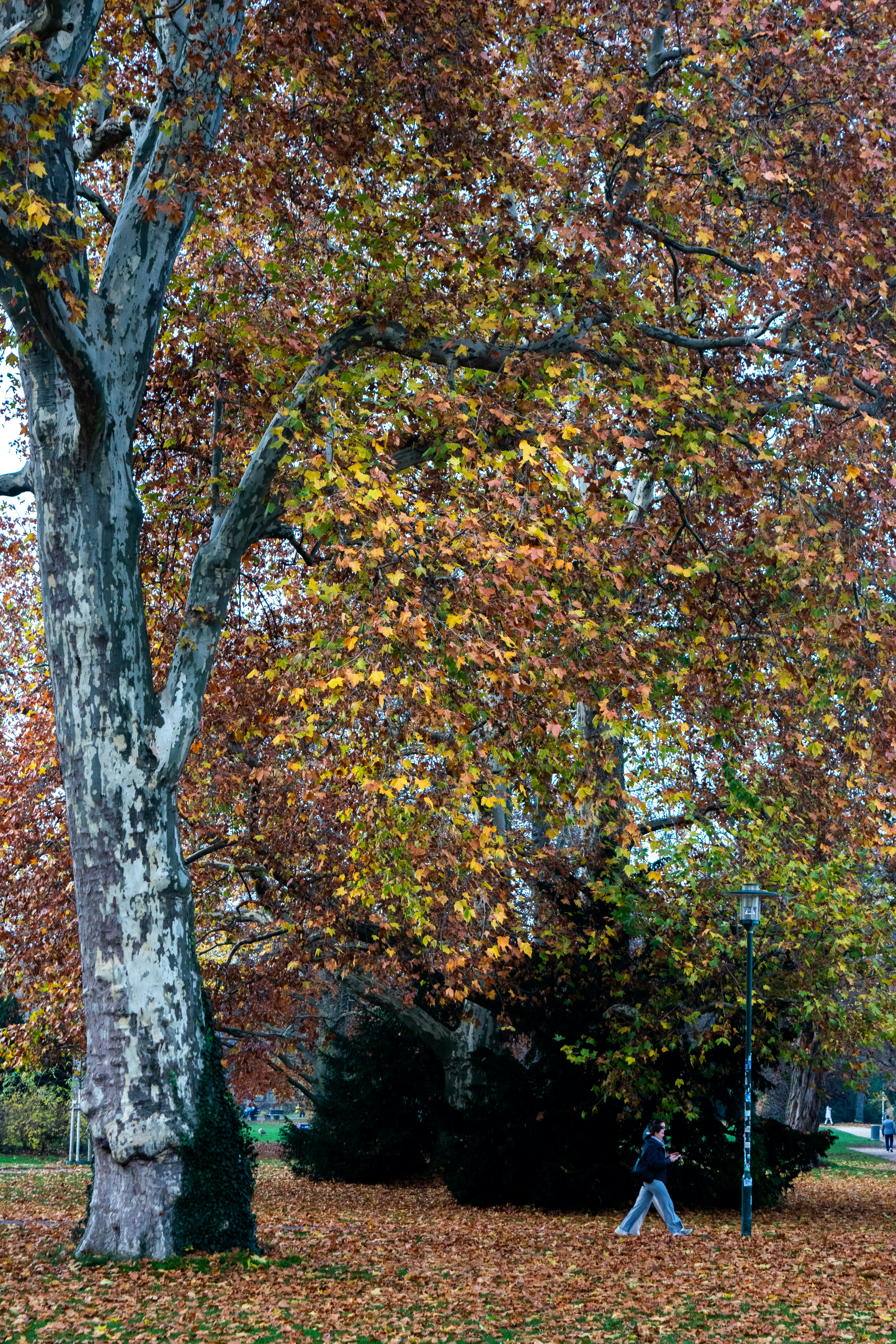 Photo by ahmed_sl___