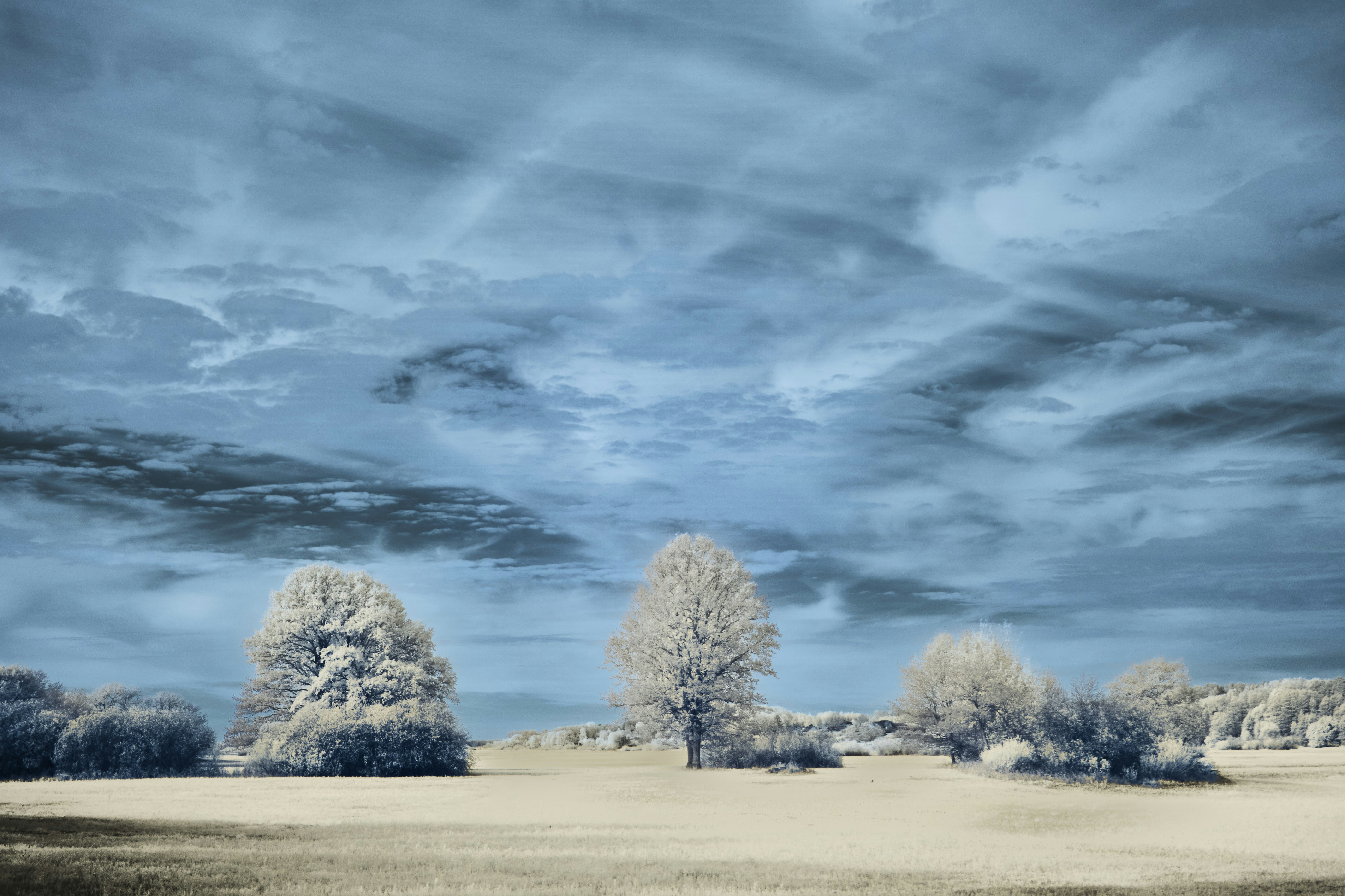 Photo by wolfgang_hasselmann