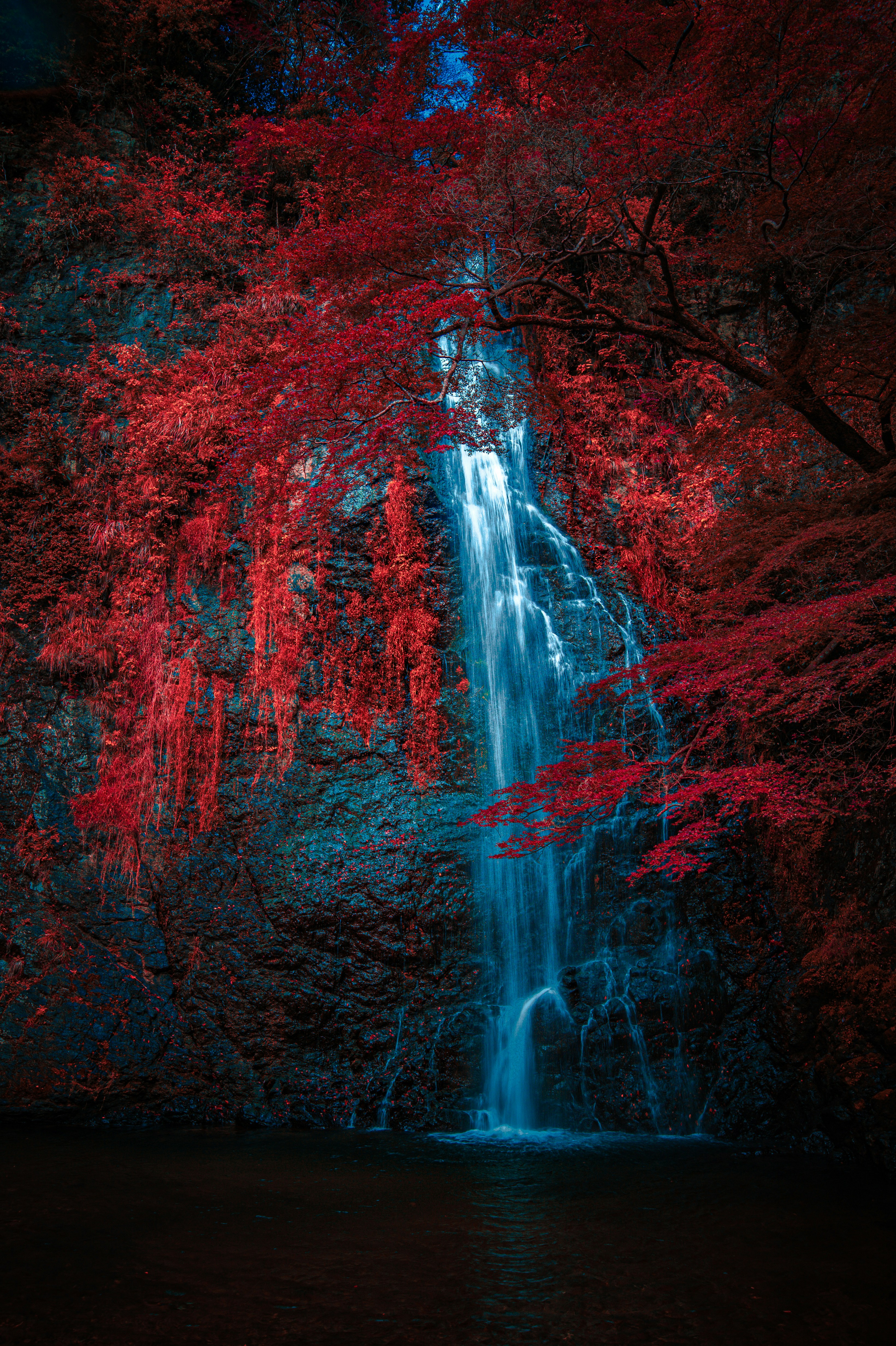 Waterfall cascading through vibrant red foliage photo – Free Forest ...