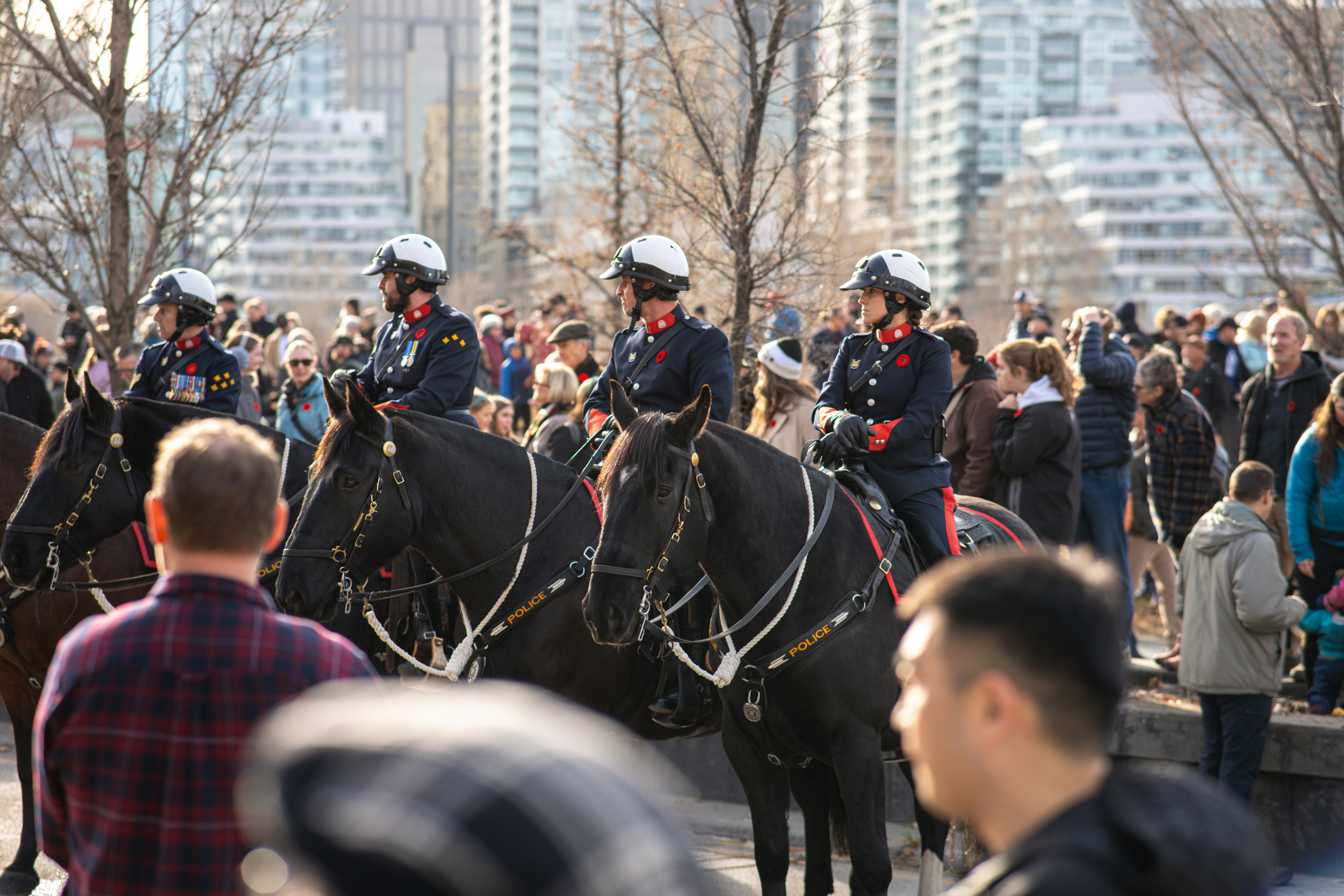 Mounted police officers in uniform with crowd in background crowd
