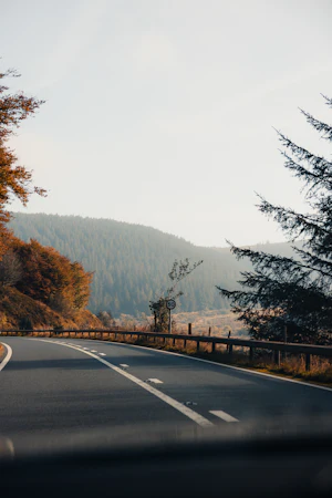 Road through autumn hills