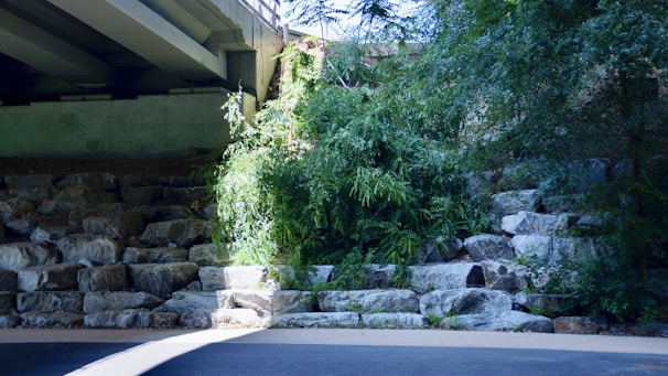 Stone steps lead up to lush greenery under a bridge.