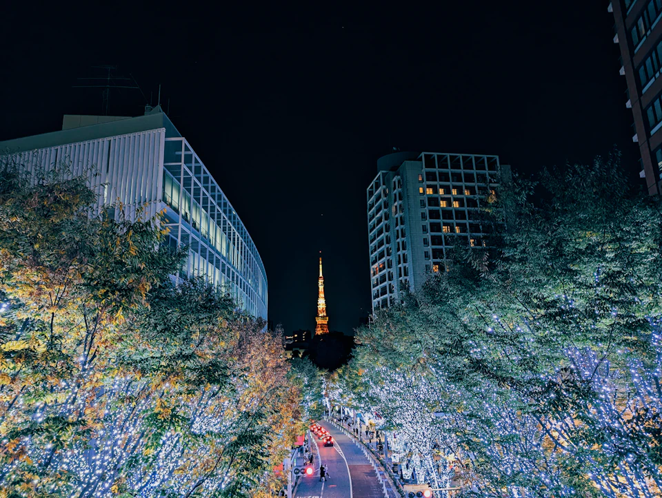Tokyo in Winter