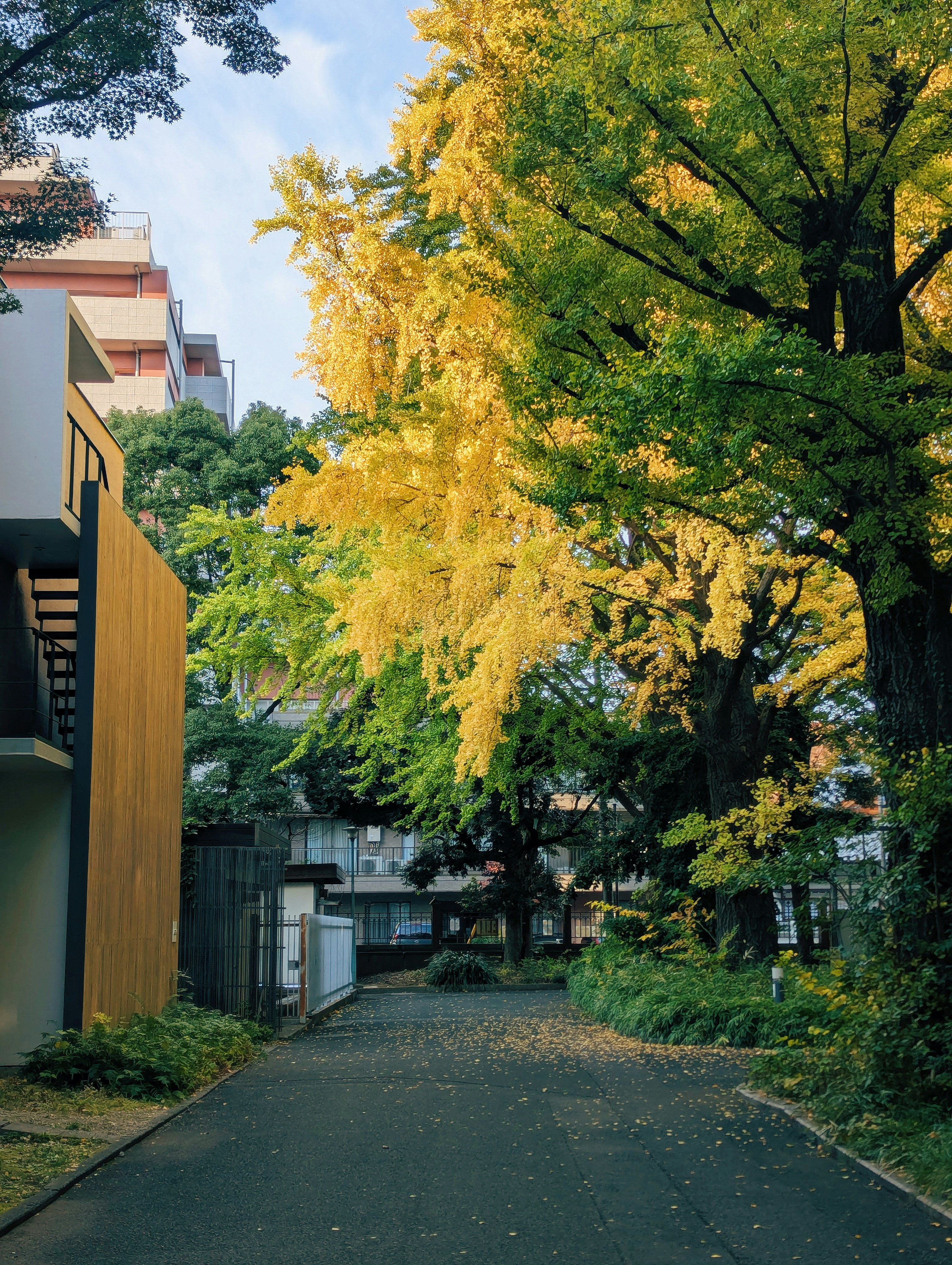 Photo by notethanun