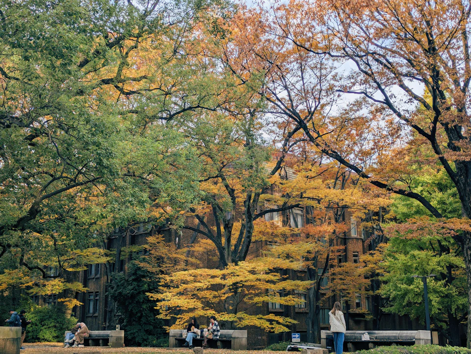 The image depicts a serene autumn scene at a park, with trees displaying vibrant hues of yellow and orange leaves against a gray sky. The park is populated by people enjoying their time outdoors, some sitting on benches while others walk around or engage in various activities. In the foreground, there are two individuals standing near each other, possibly admiring the beauty of the autumn foliage.