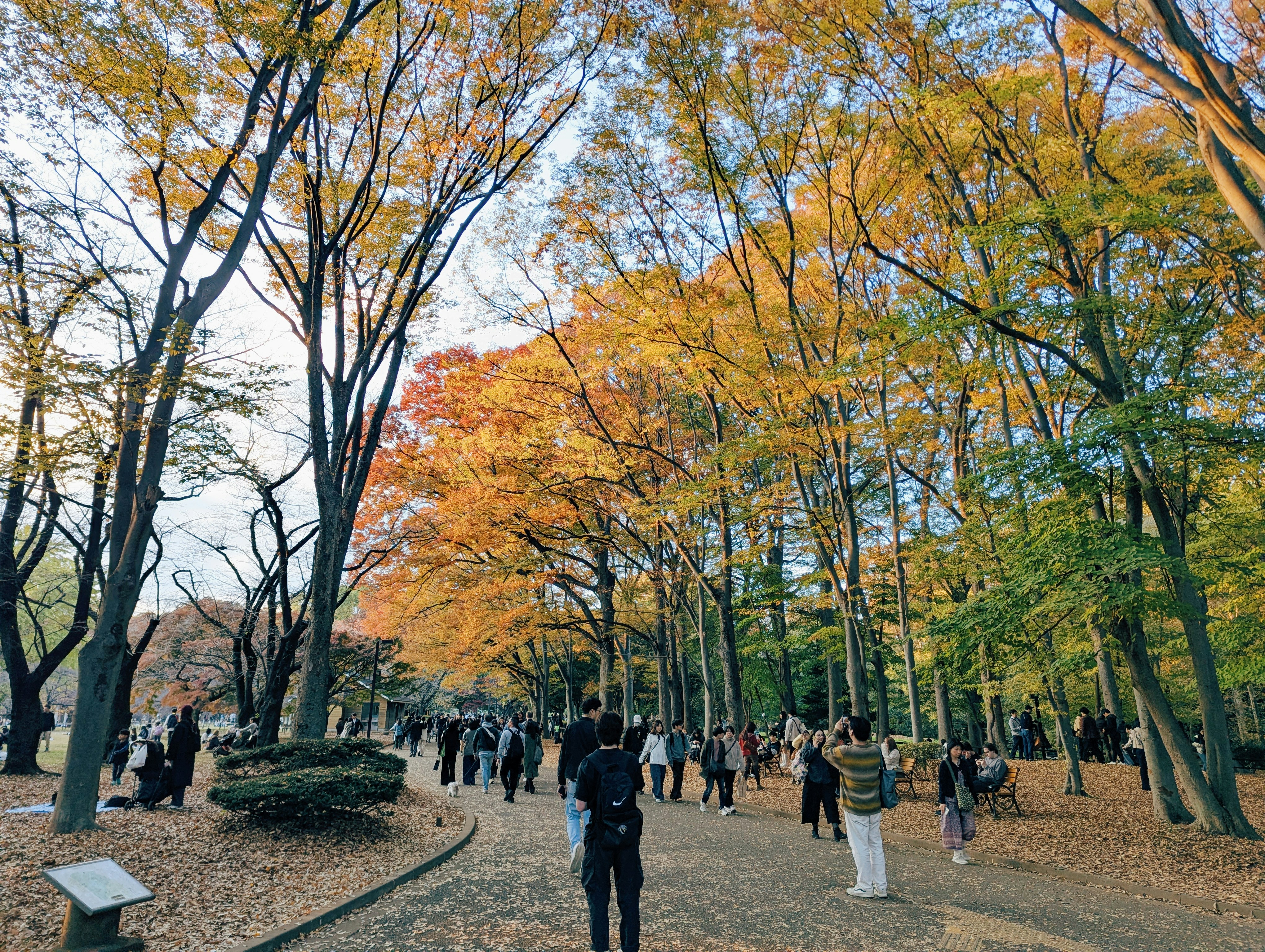 親子寫真場地怎麼選？室內外優缺點、季節搭配全攻略，打造完美家庭回憶：本文實用建議摘要