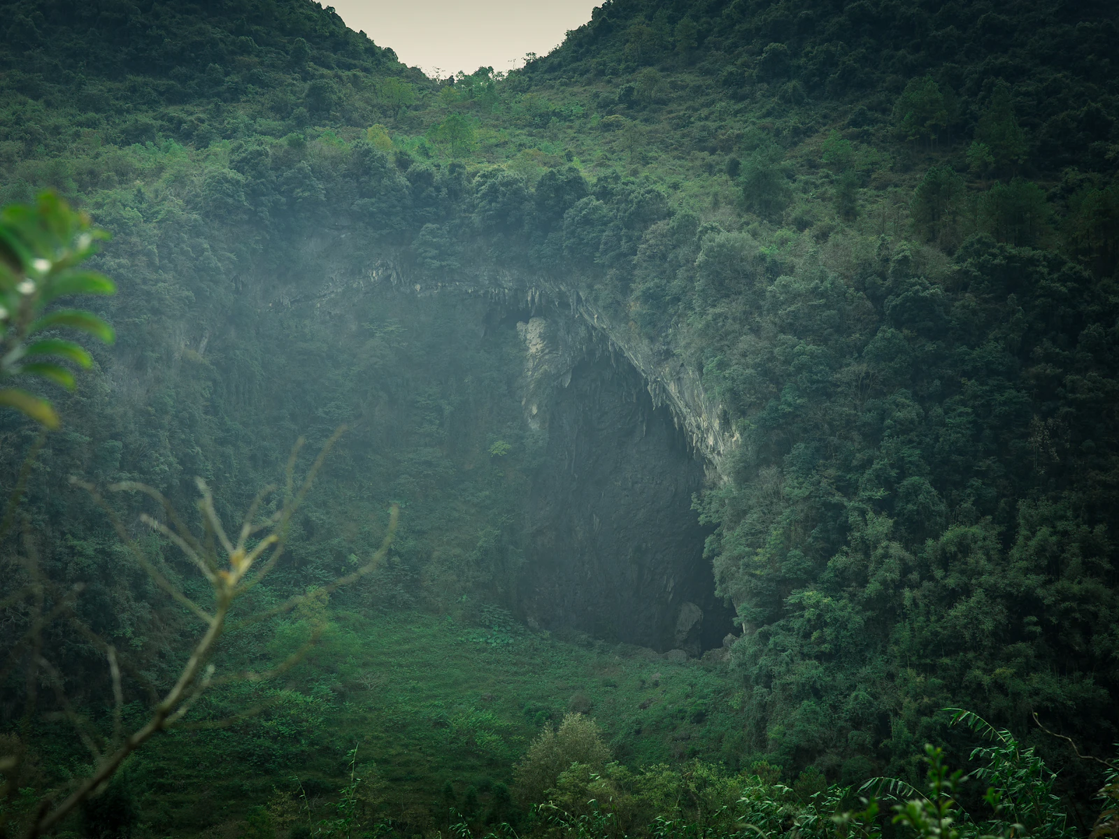 Large sinkhole covered in dense green jungle vegetation beneath a rocky rim
