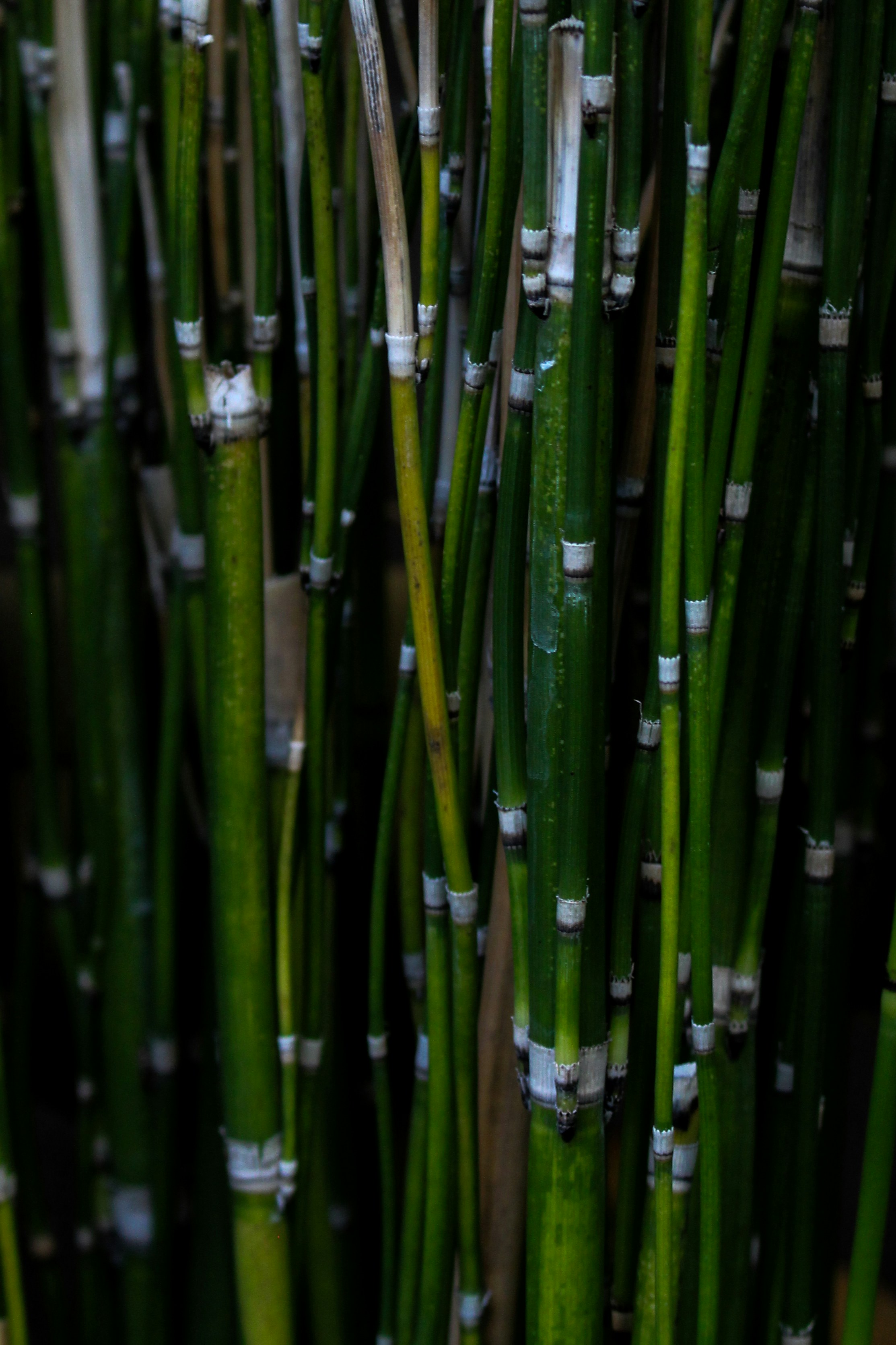 Photo by katewells27