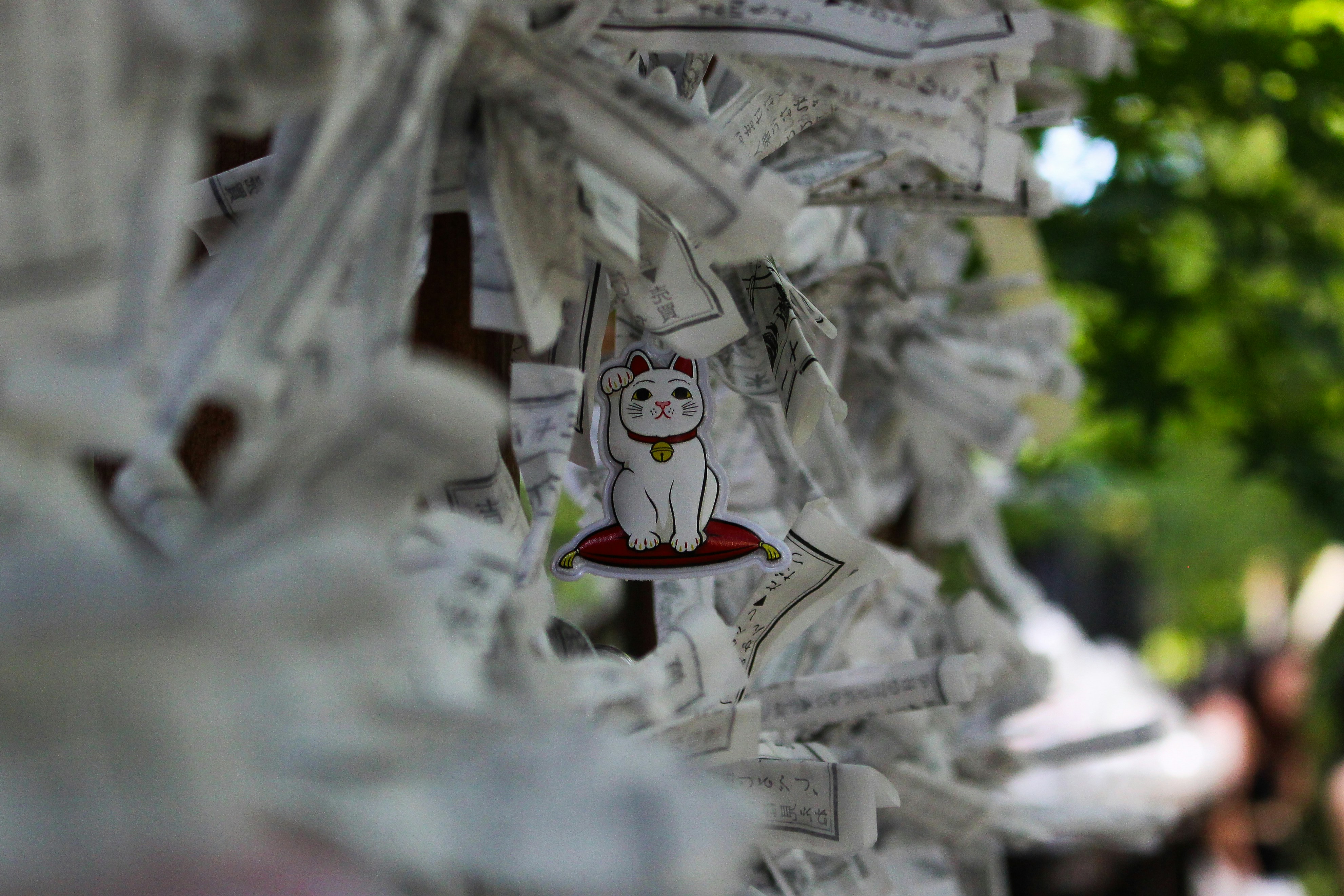 Understanding Temperance: Symbolism and Meaning