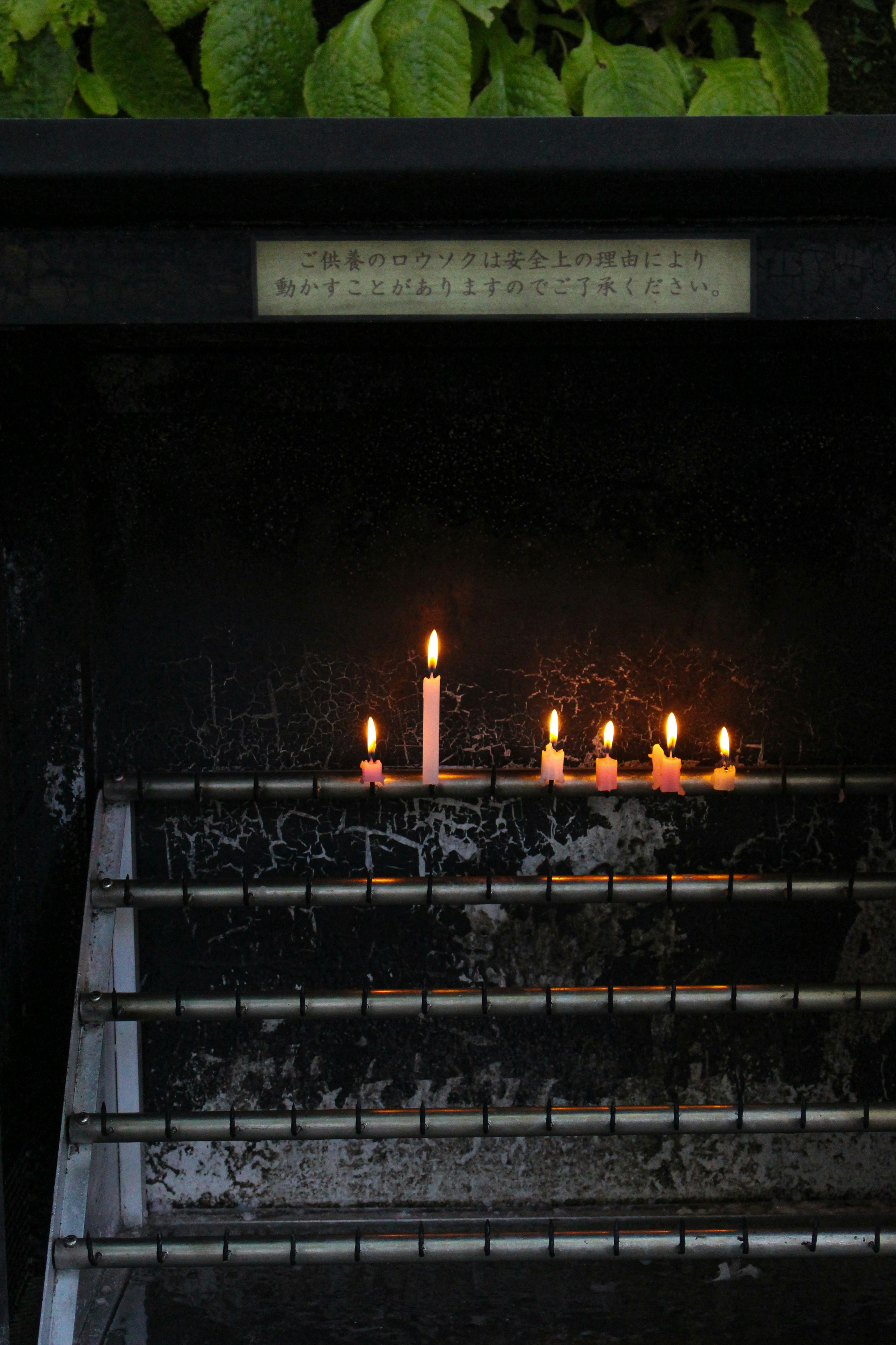 A serene candle lit in remembrance.