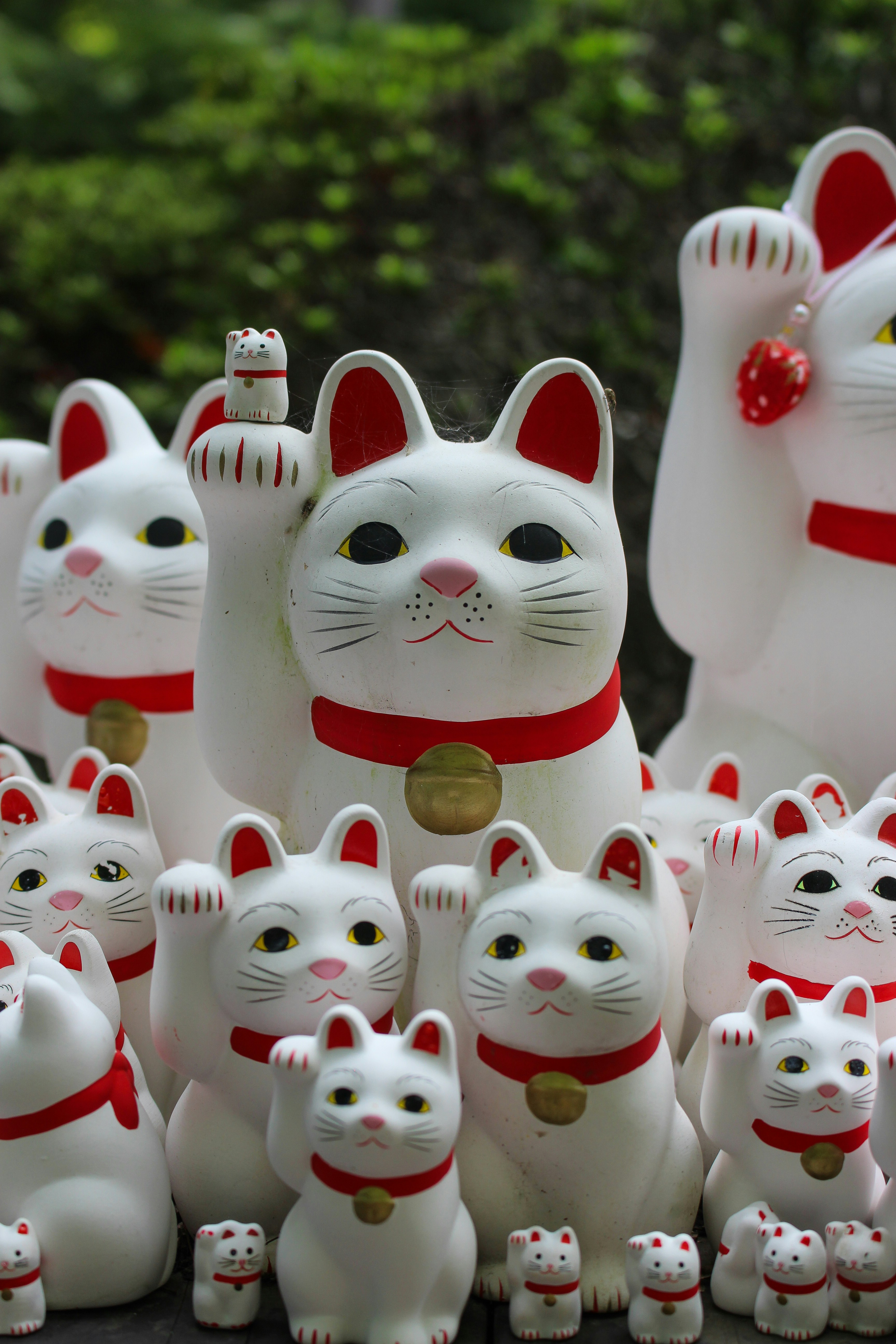 Photo by katewells27