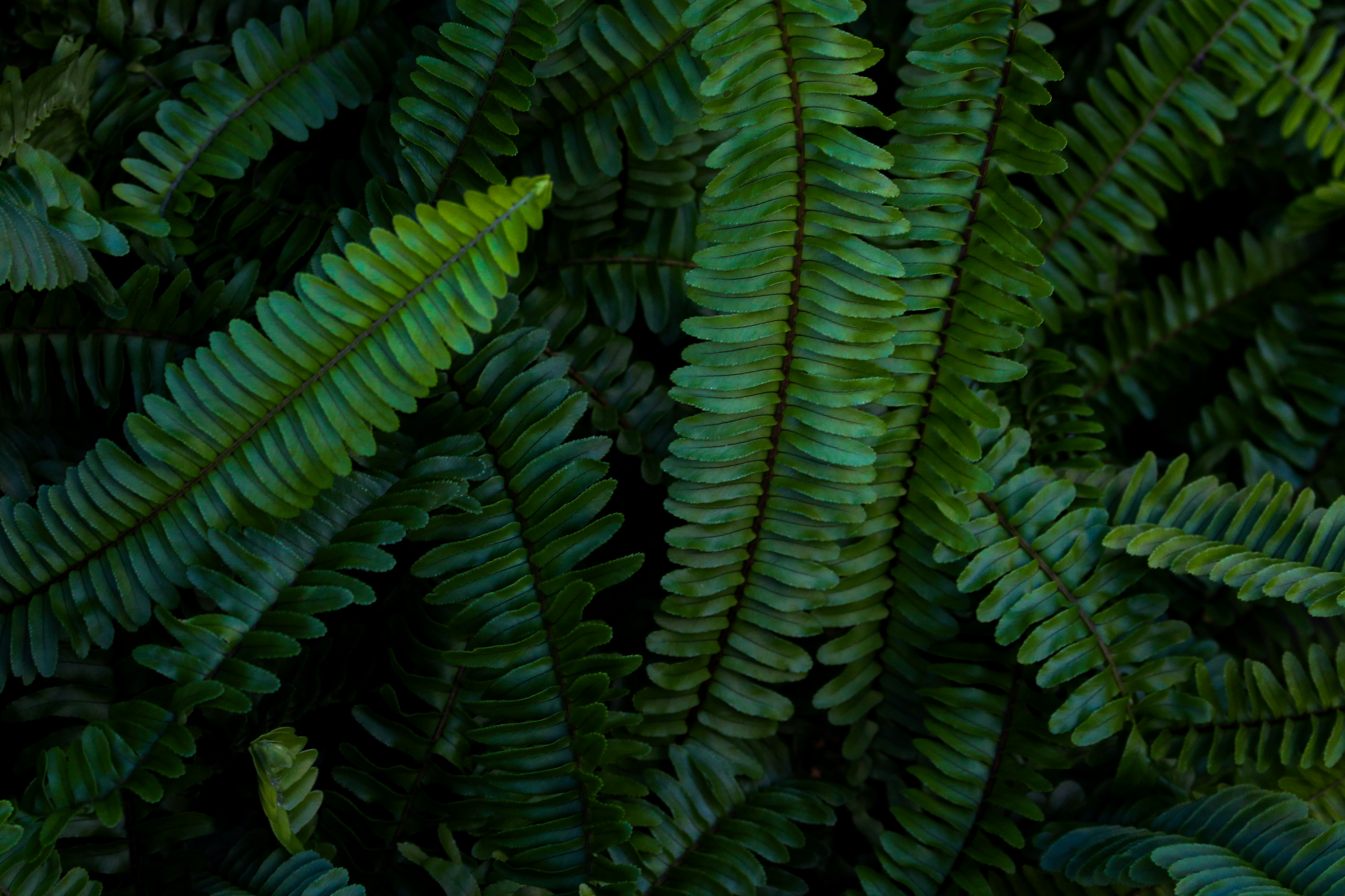 Photo by katewells27