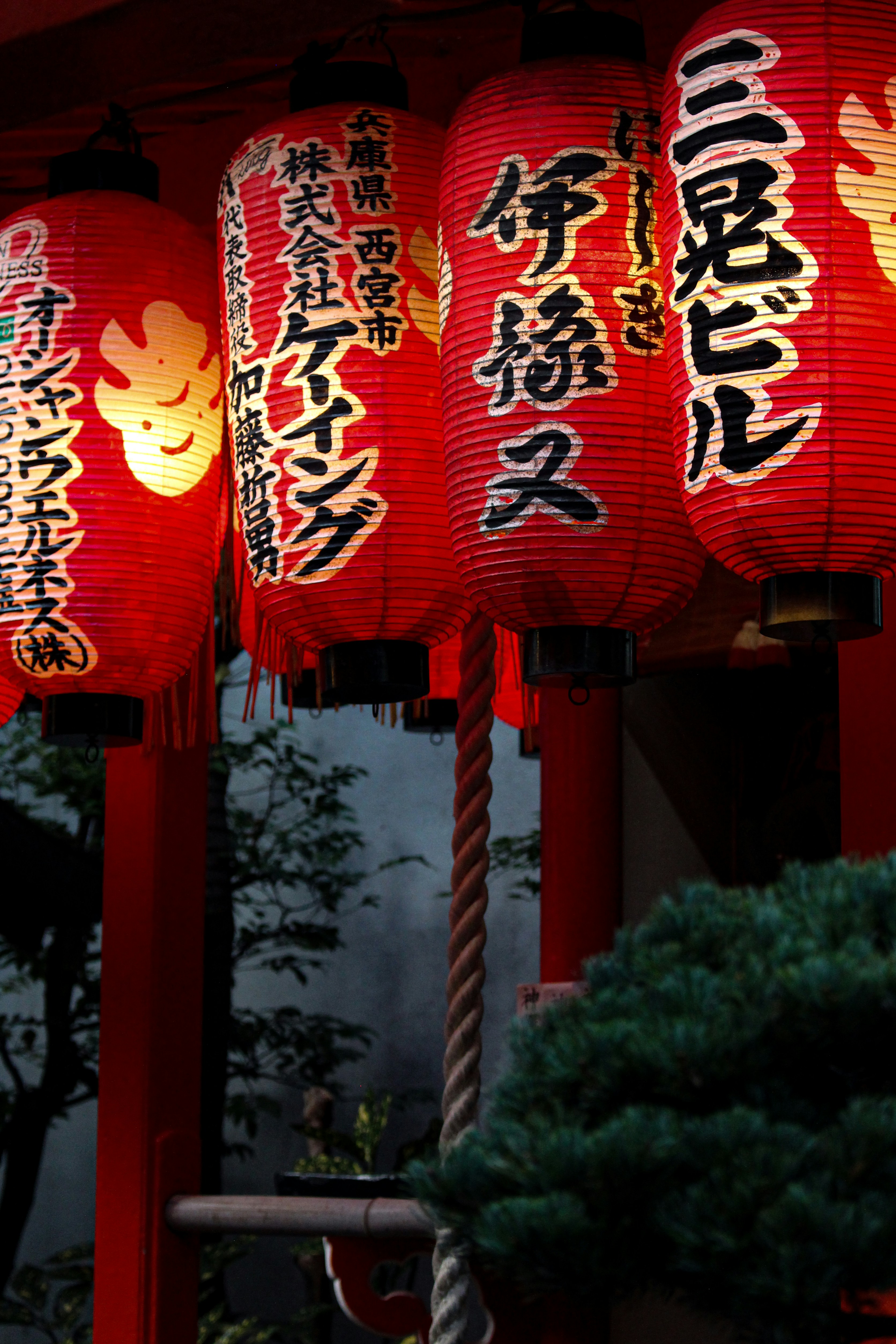 Photo by katewells27