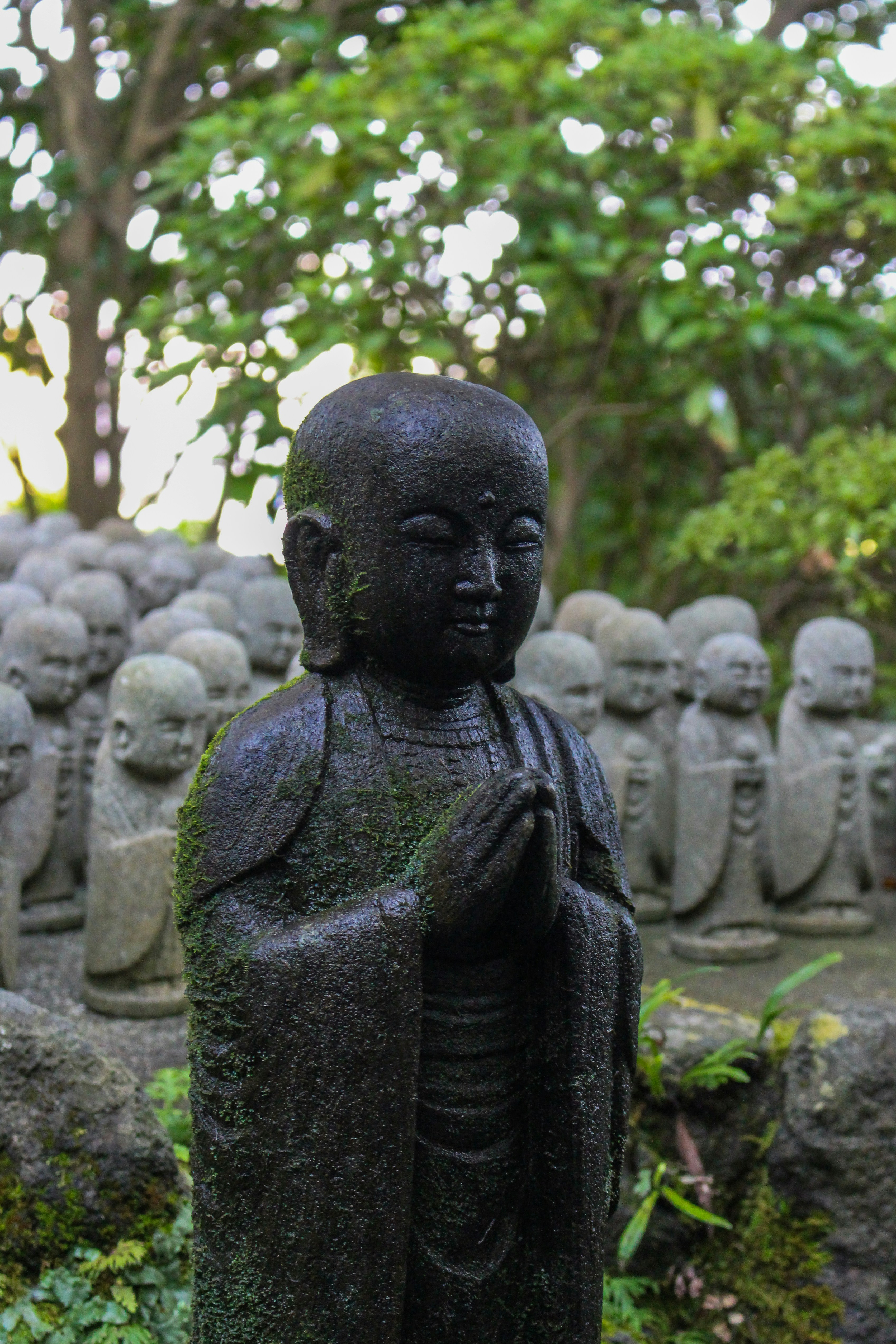 Photo by katewells27