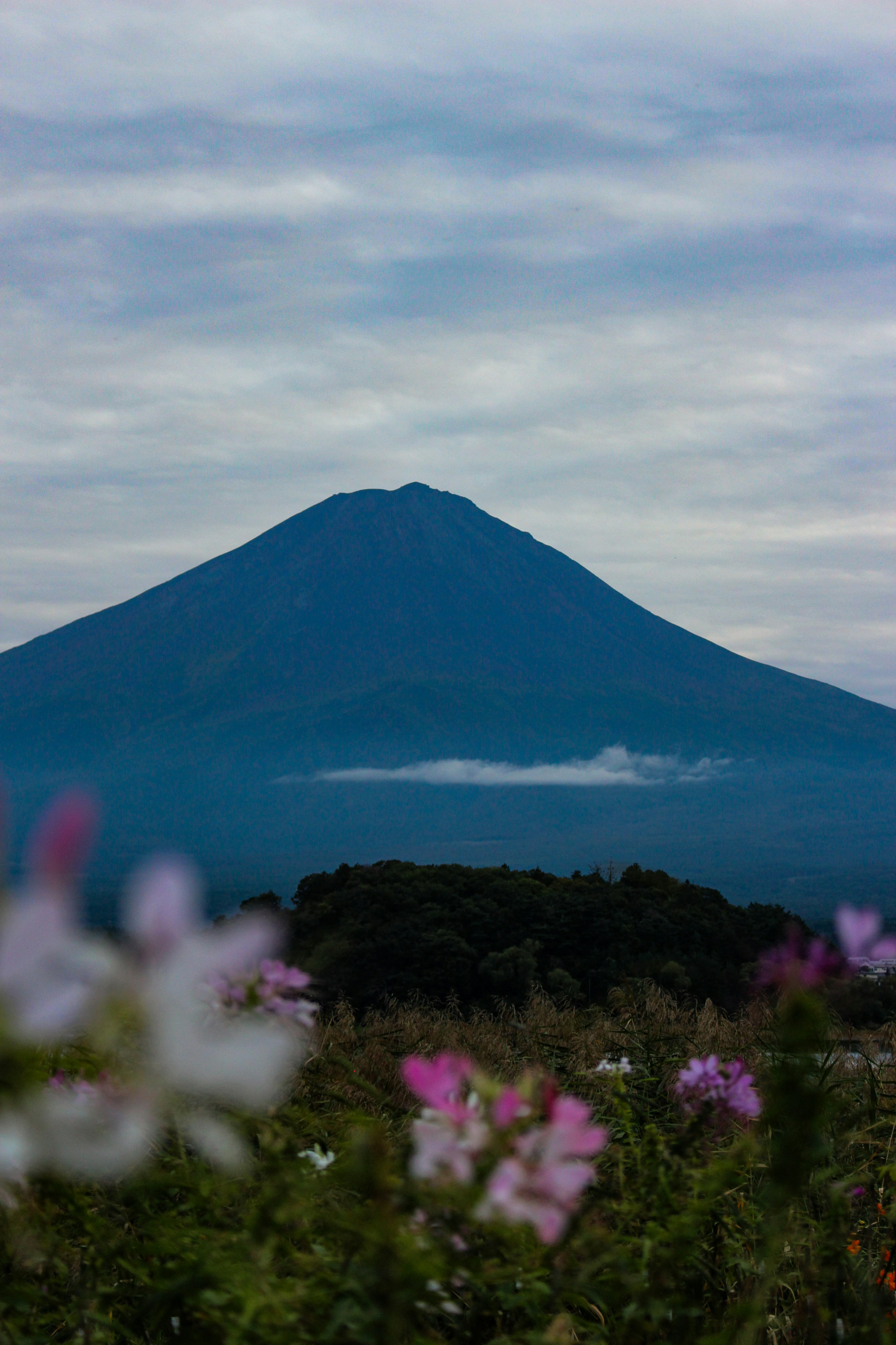 Photo by katewells27