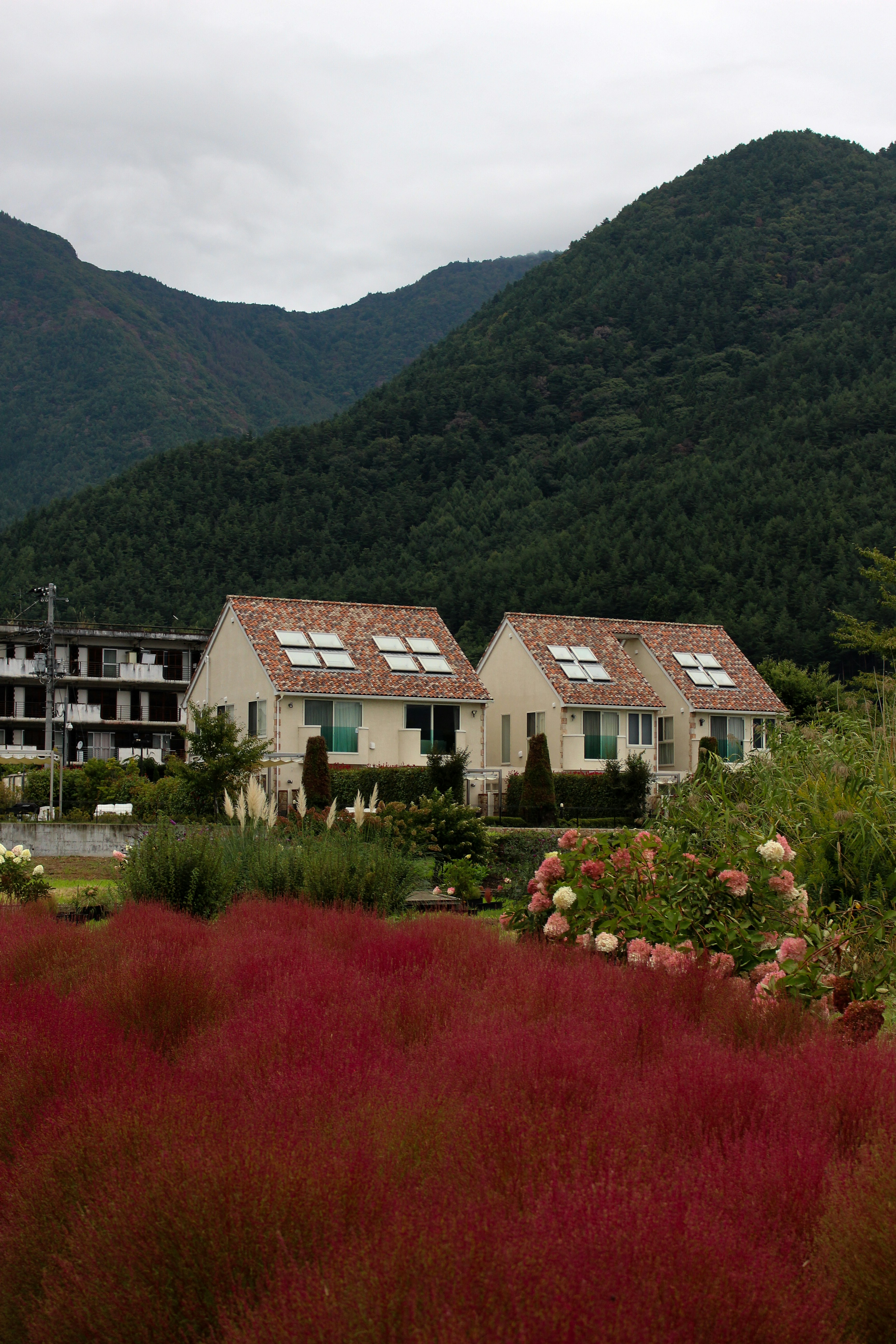 Dos casas enclavadas contra un fondo verde de montaña.