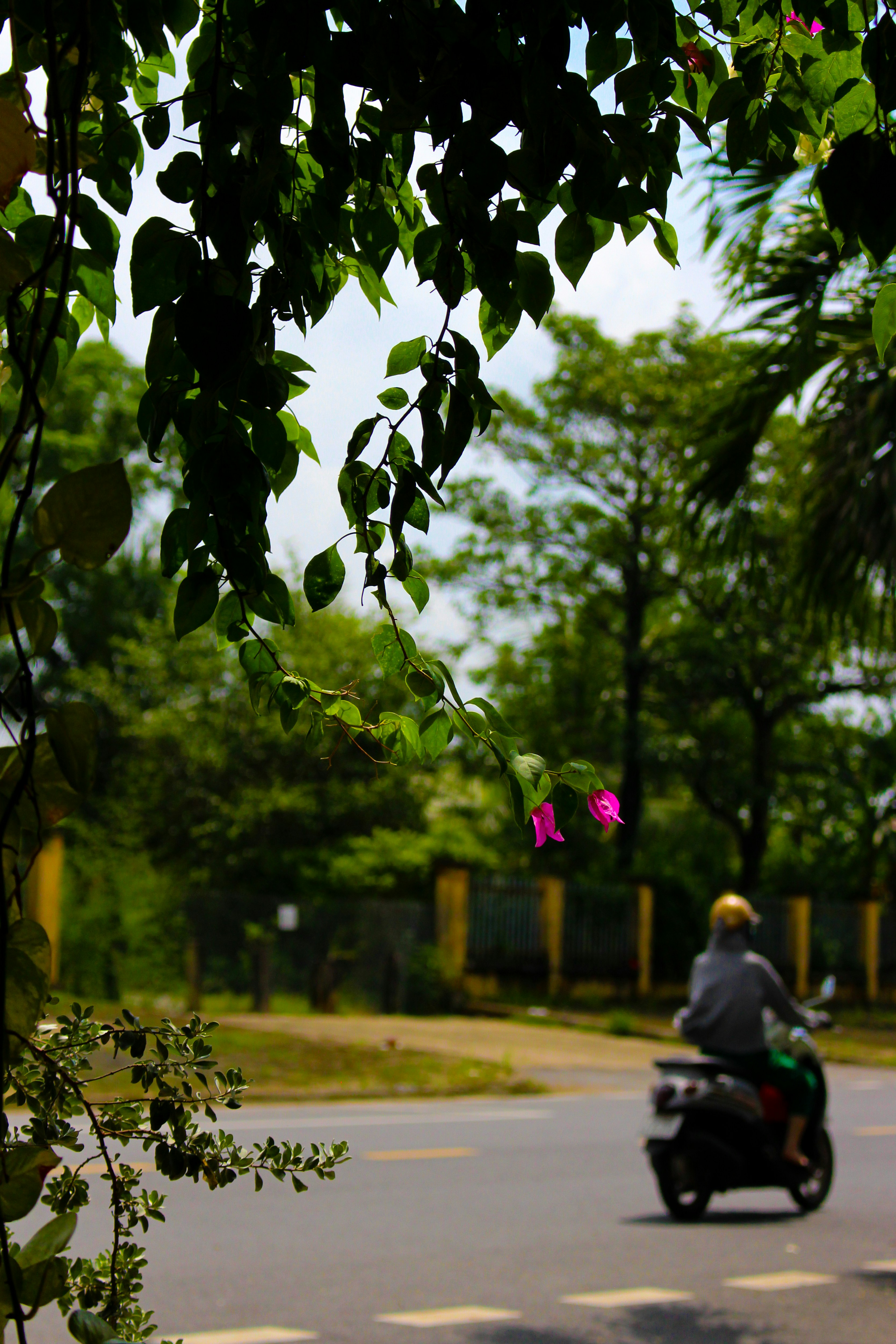 Persona que va en patinete por una carretera.