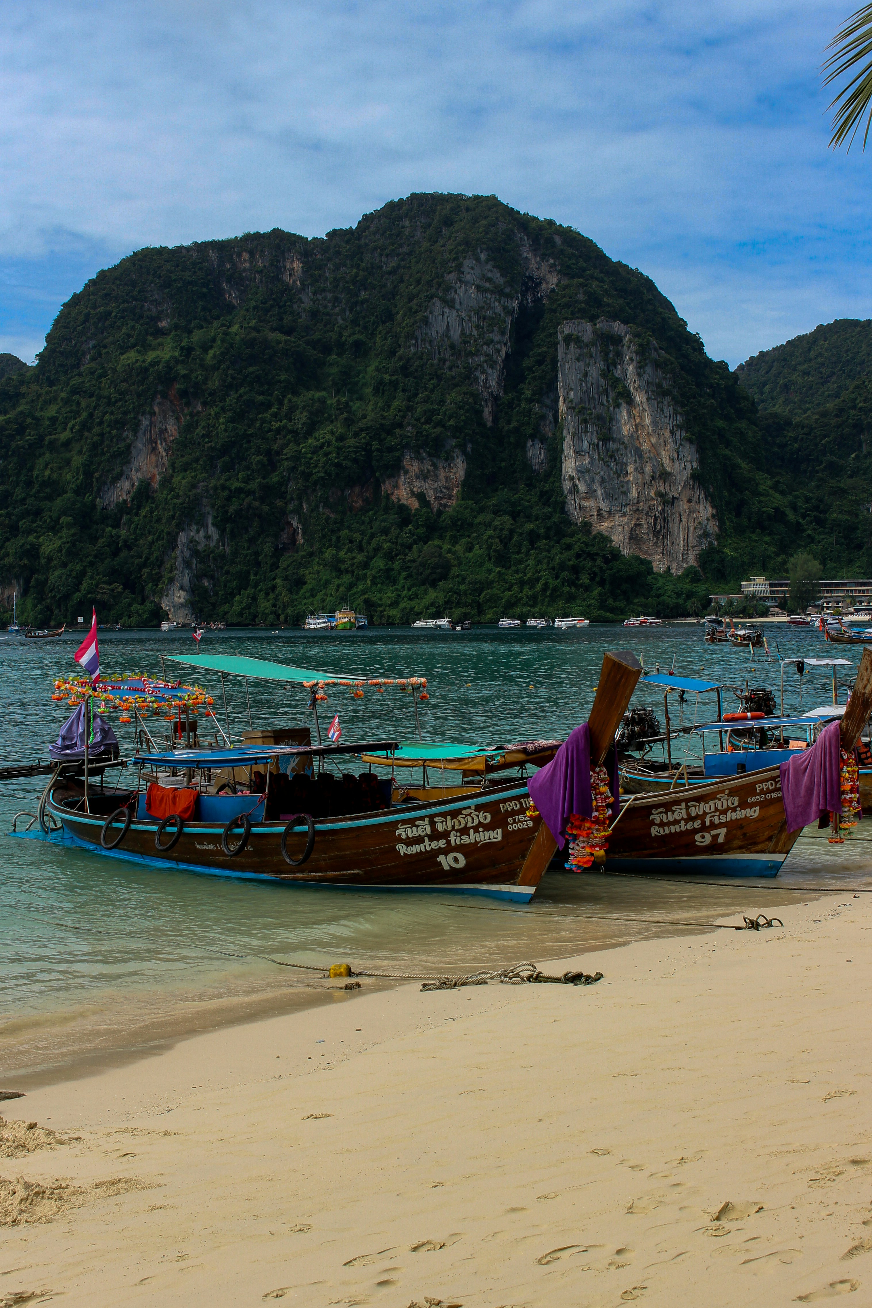 Photo by katewells27