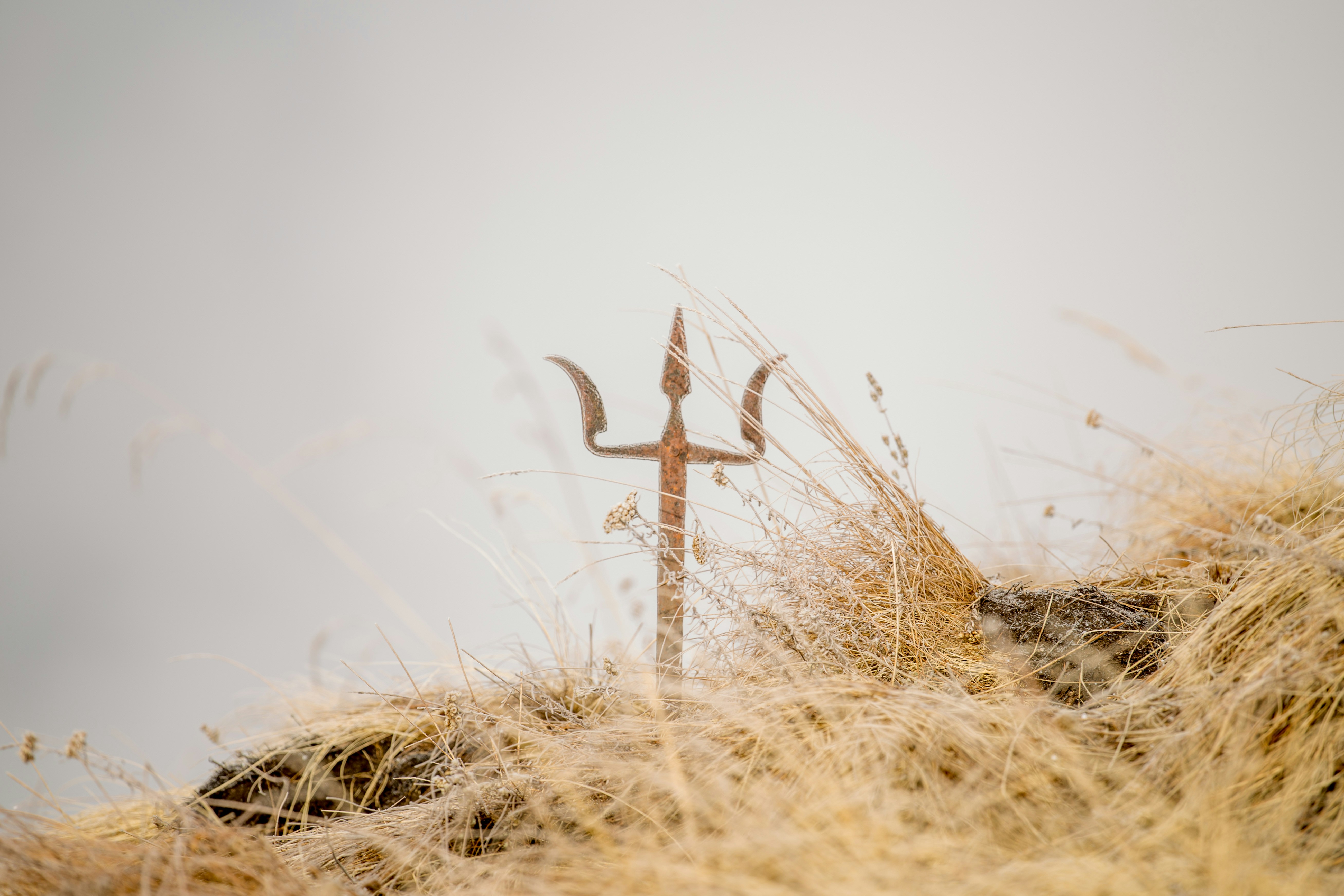 A trident stands in dry grass on a foggy day (Photo by Sushanta Rokka on Unsplash)