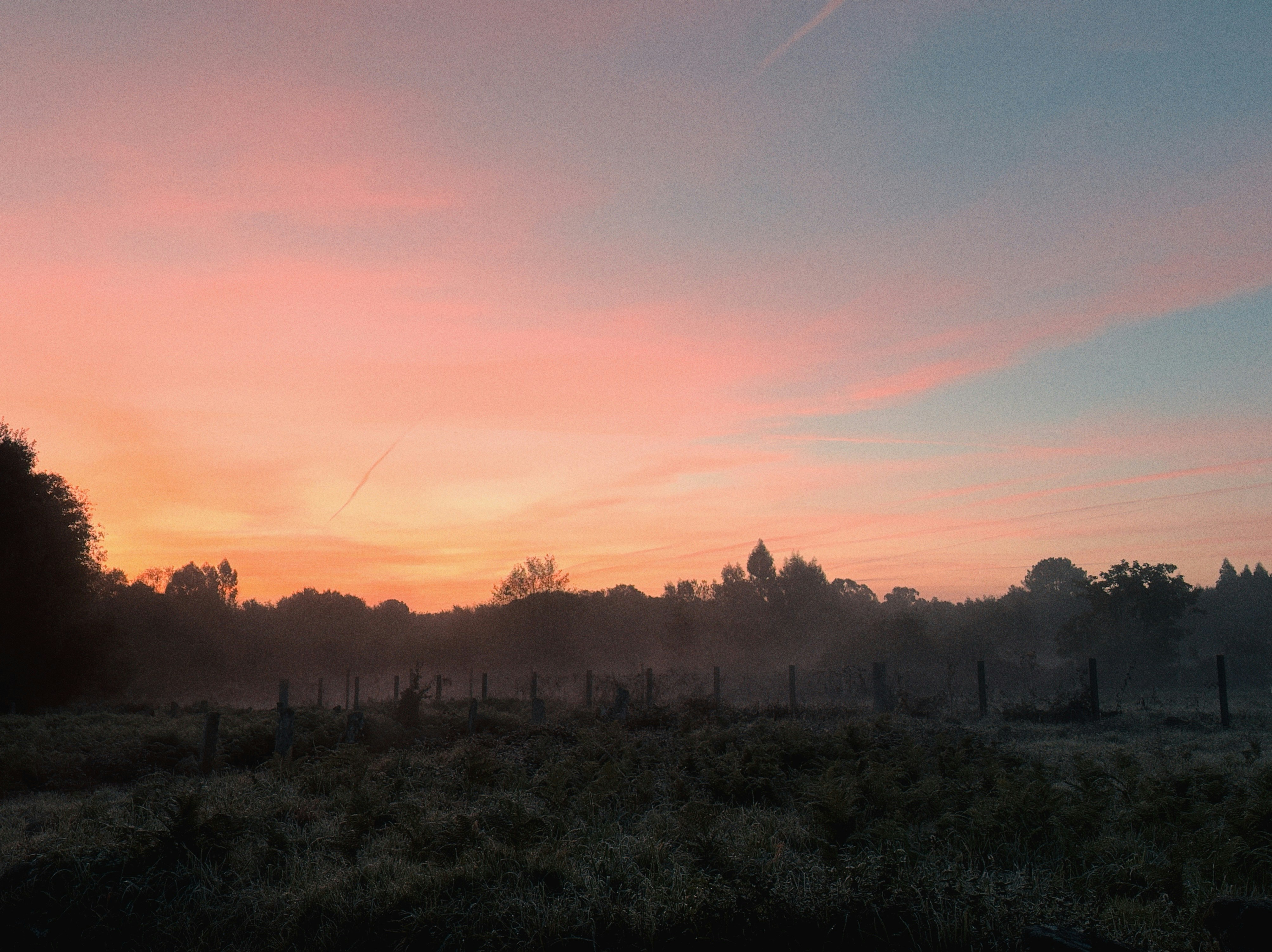 Pink and orange sunrise over a misty field.
