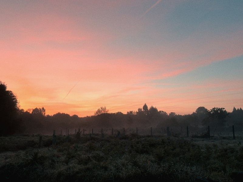 Sun Rise