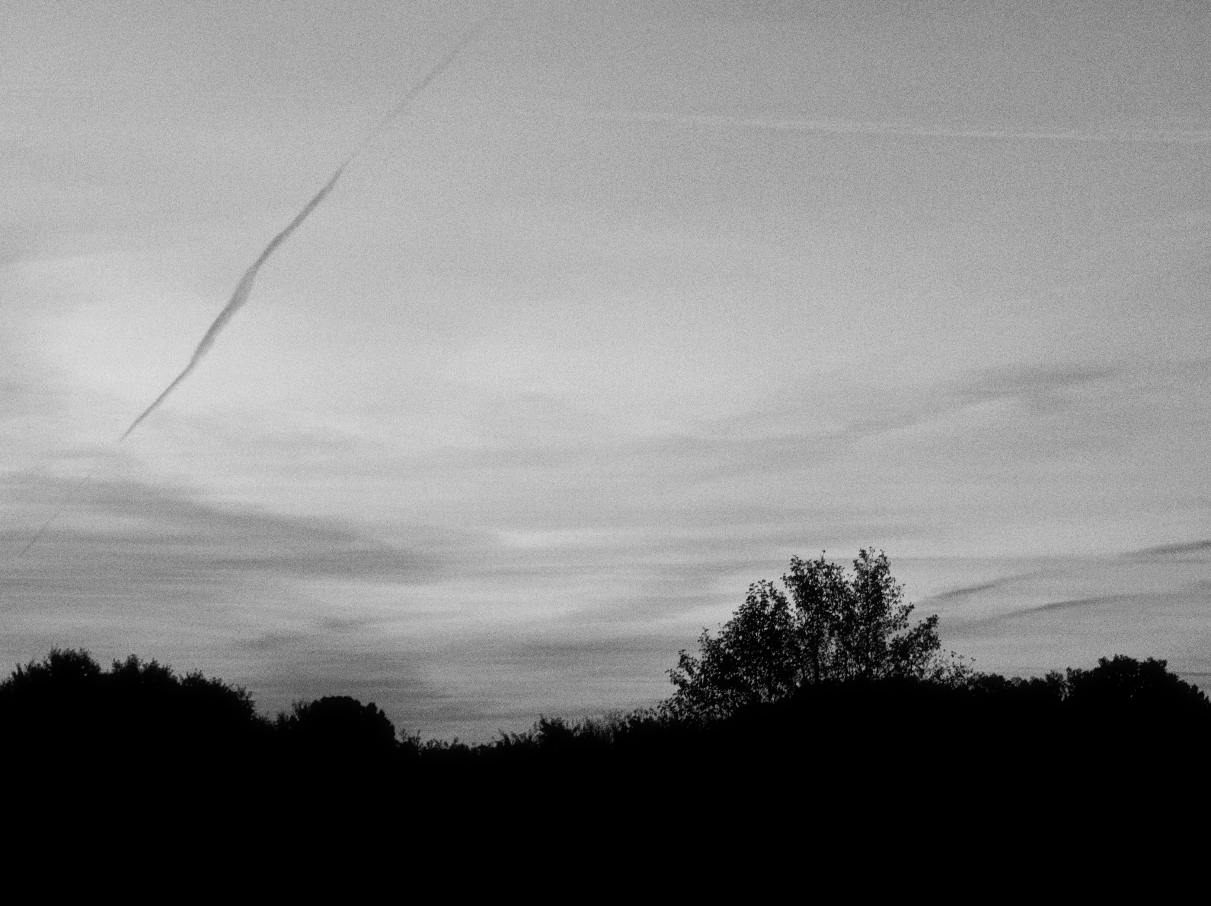 A lone tree silhouetted against a cloudy sky.