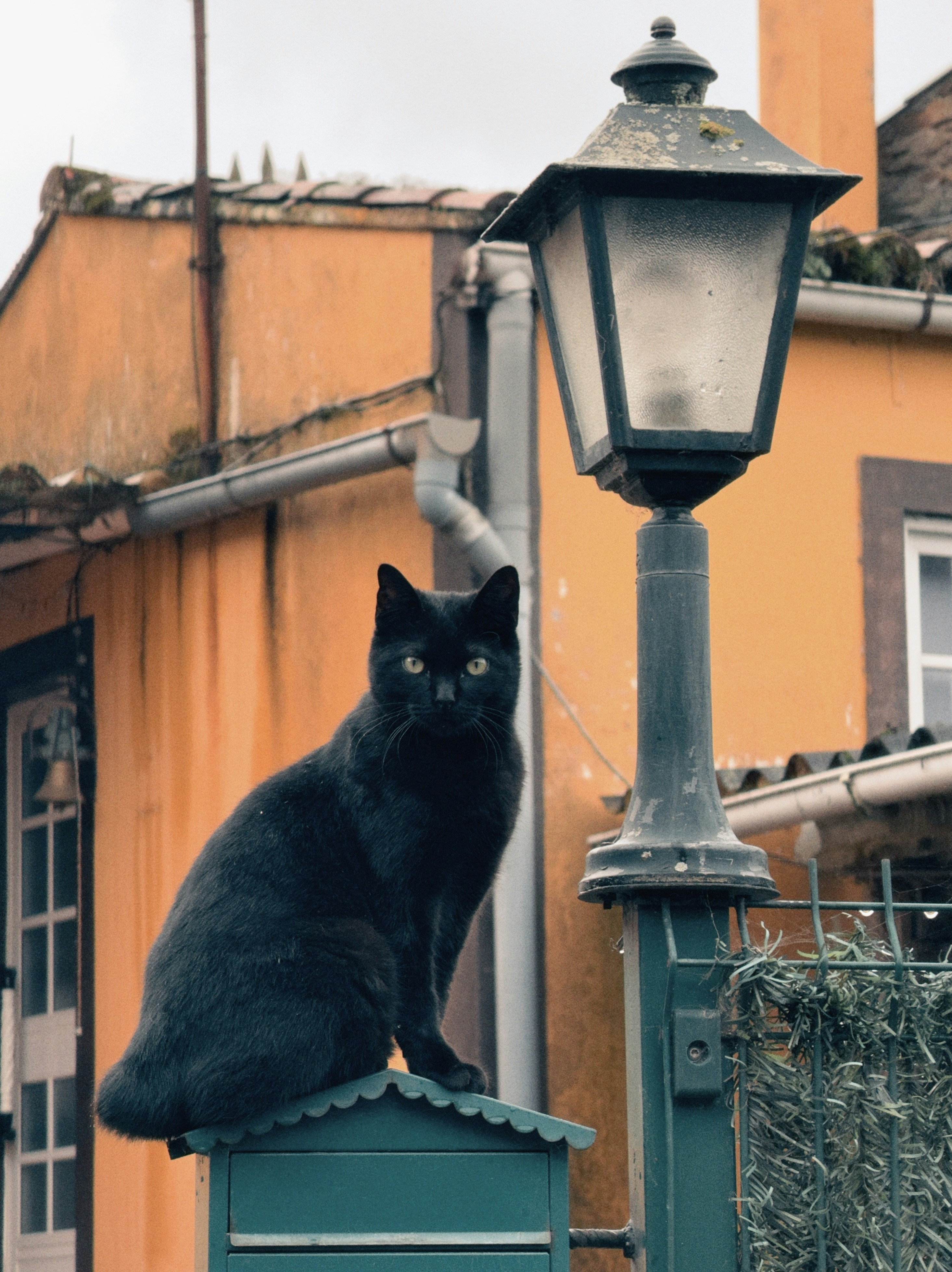 Black cat sitting on a mailbox near a lamppost.