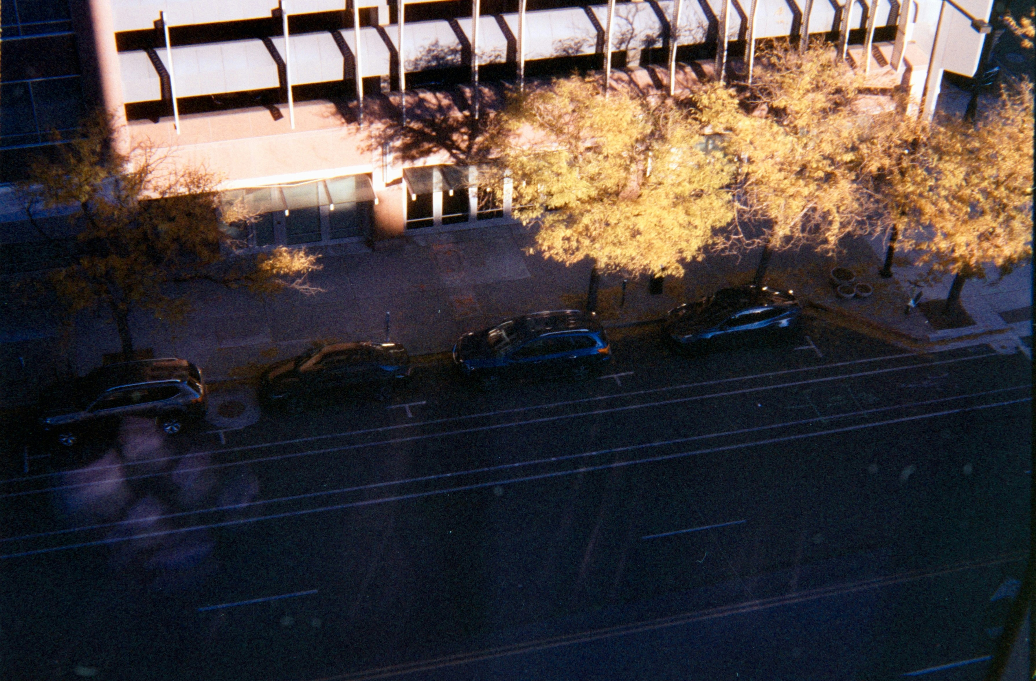 Photo by theguccer2100