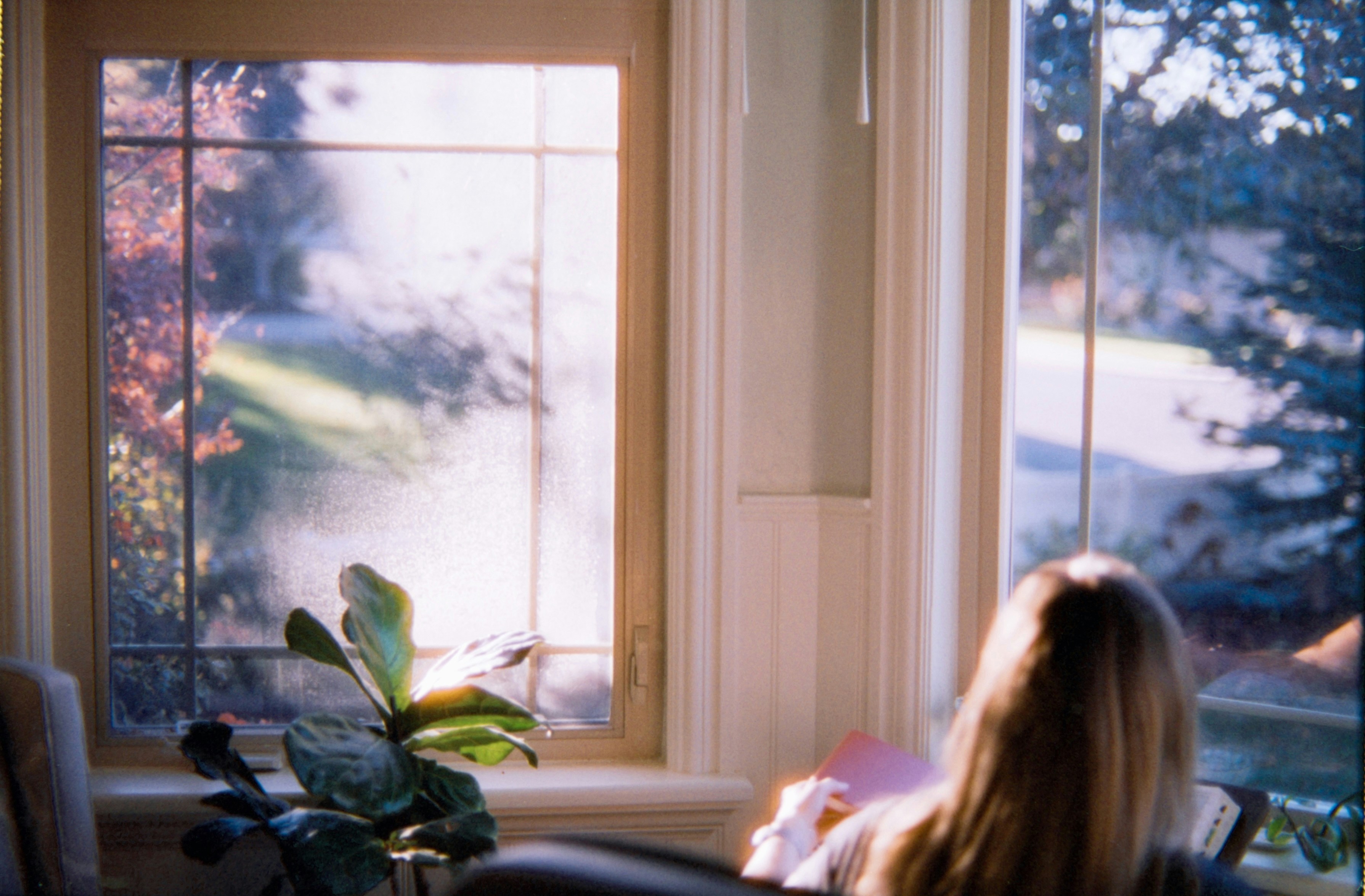 Woman reading by window with autumn foliage outside