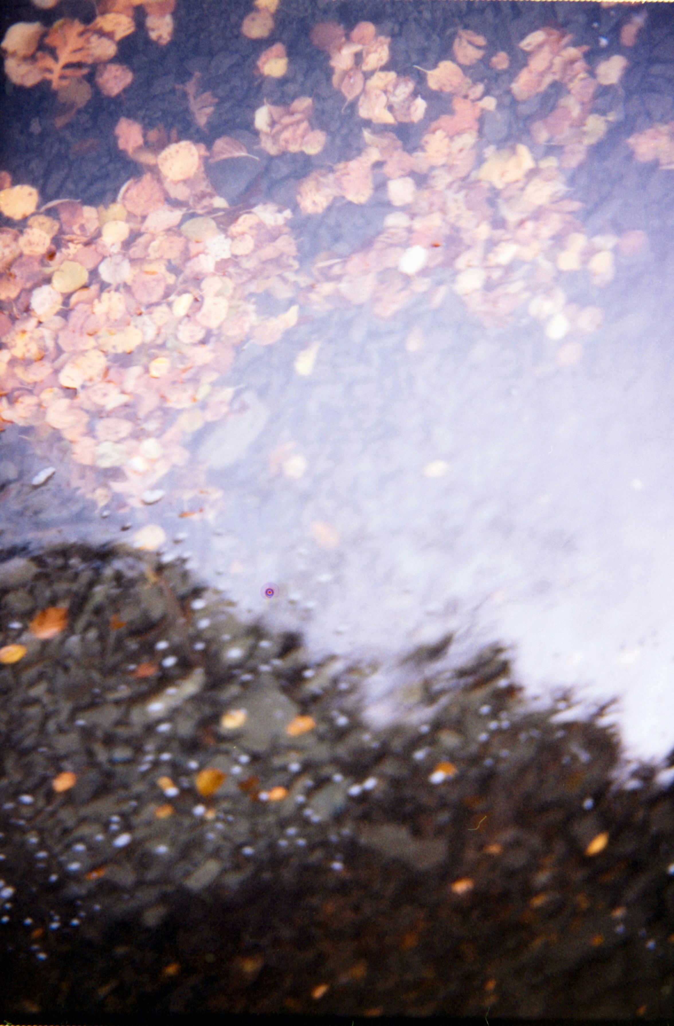 Photo by theguccer2100