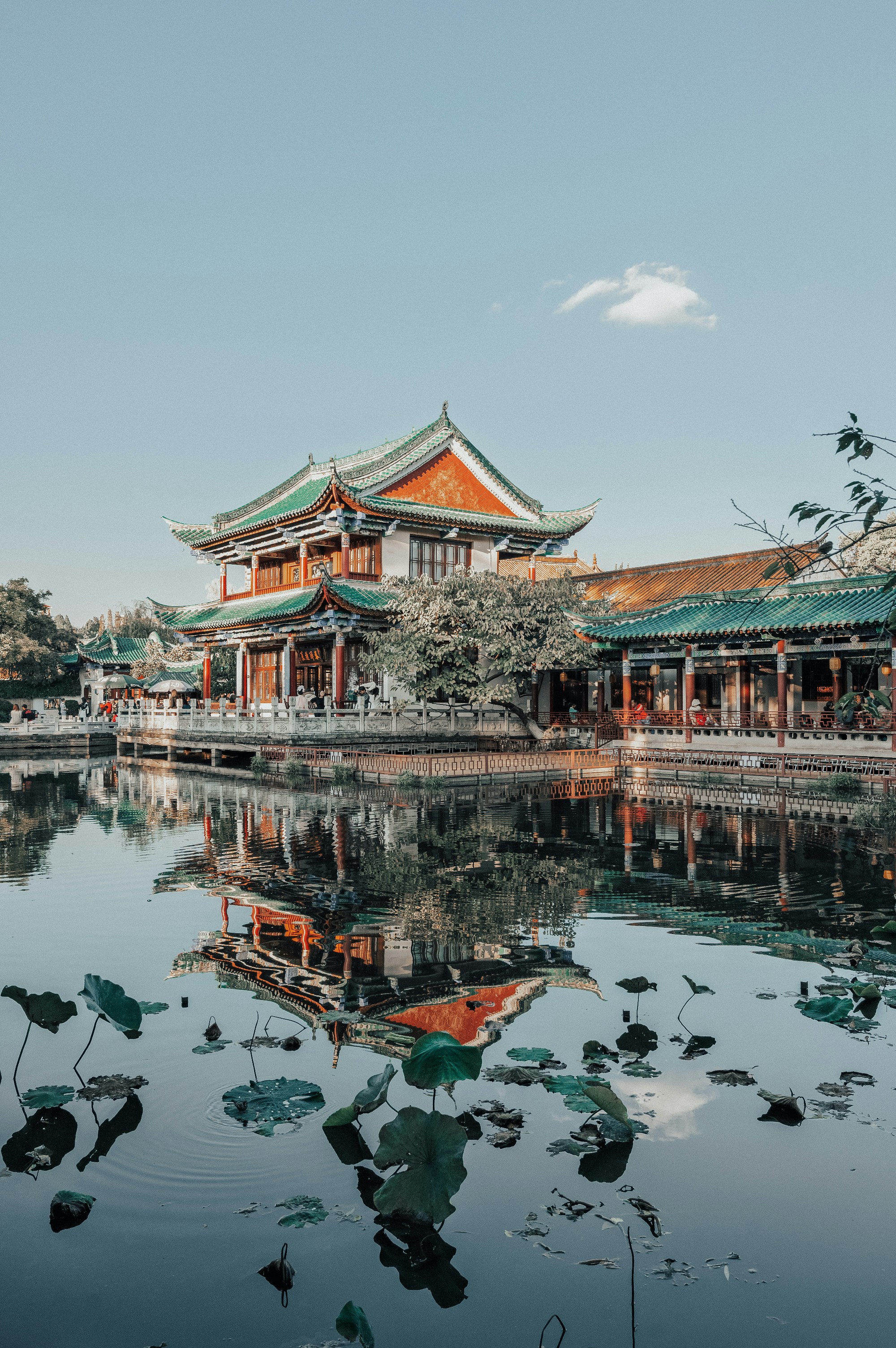 Photo by vincent_tint