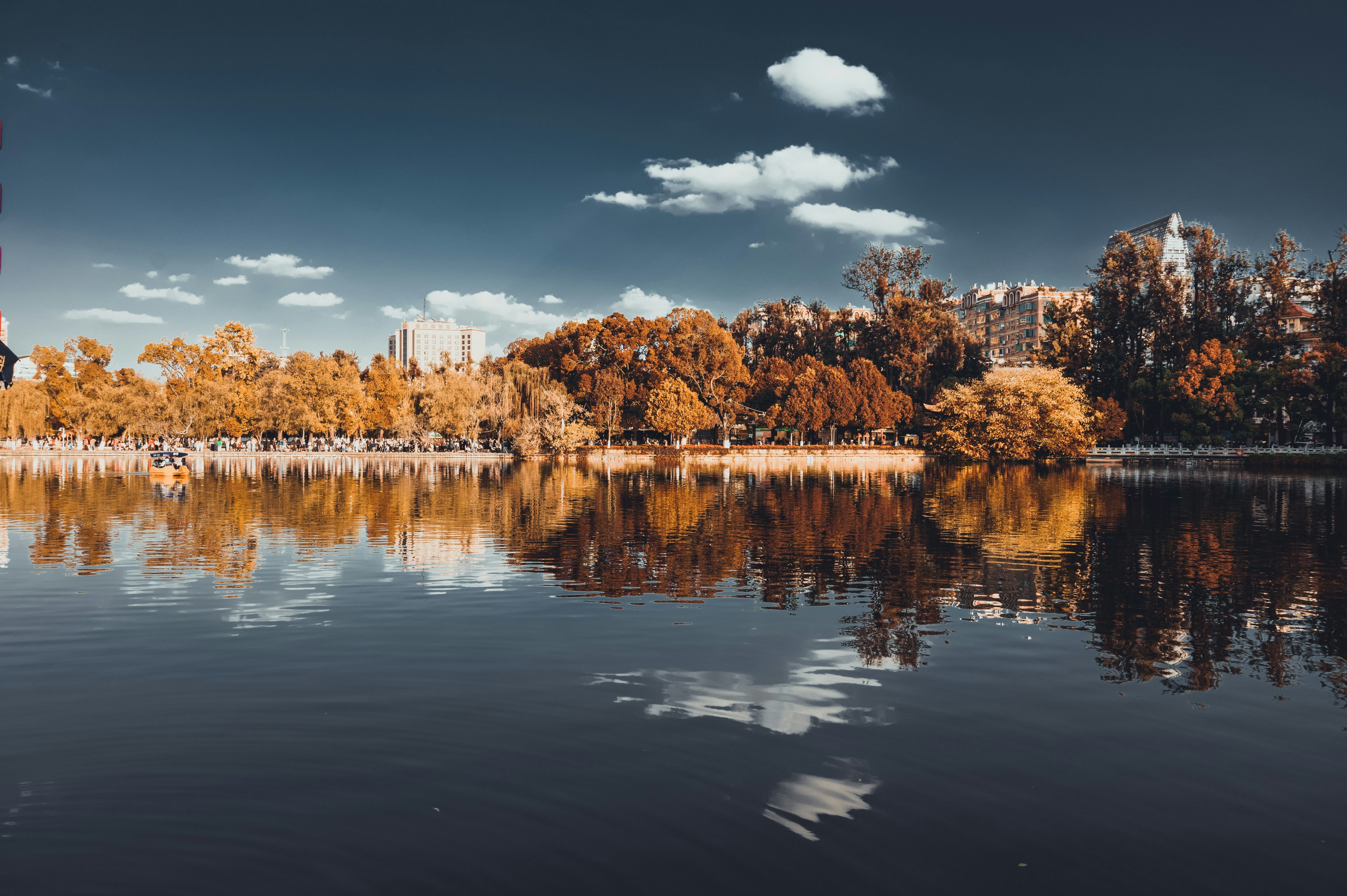 Photo by vincent_tint