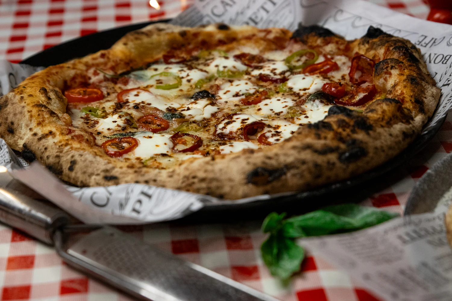 A charred Neapolitan margherita with cherry tomatoes and fior di latte on a red gingham cloth